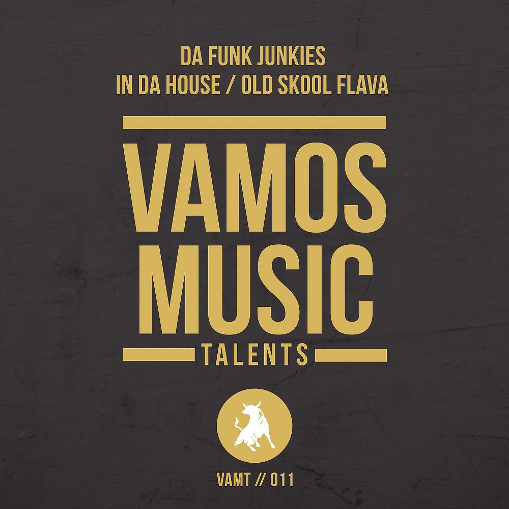 Da Funk Junkies - Old Skool Flava (Radio Edit)
