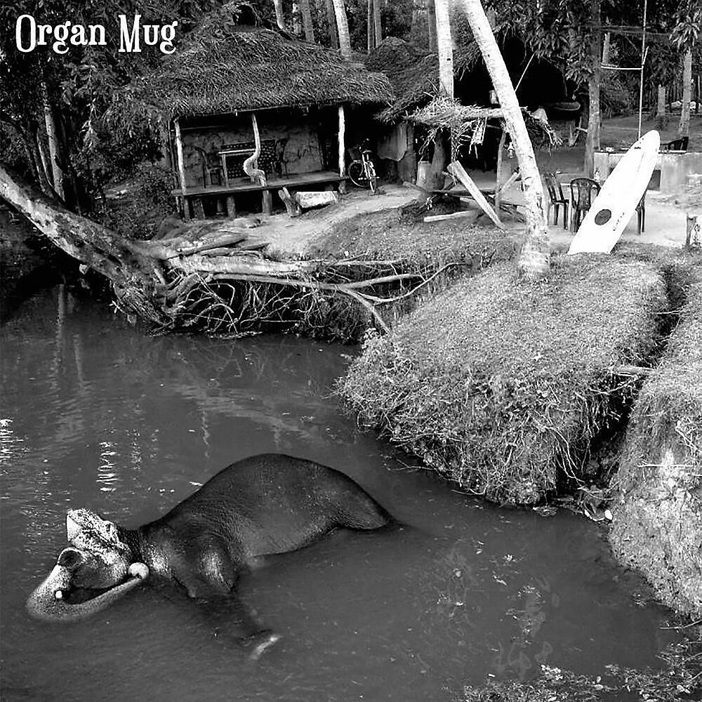 Organ Mug - Yugreeva