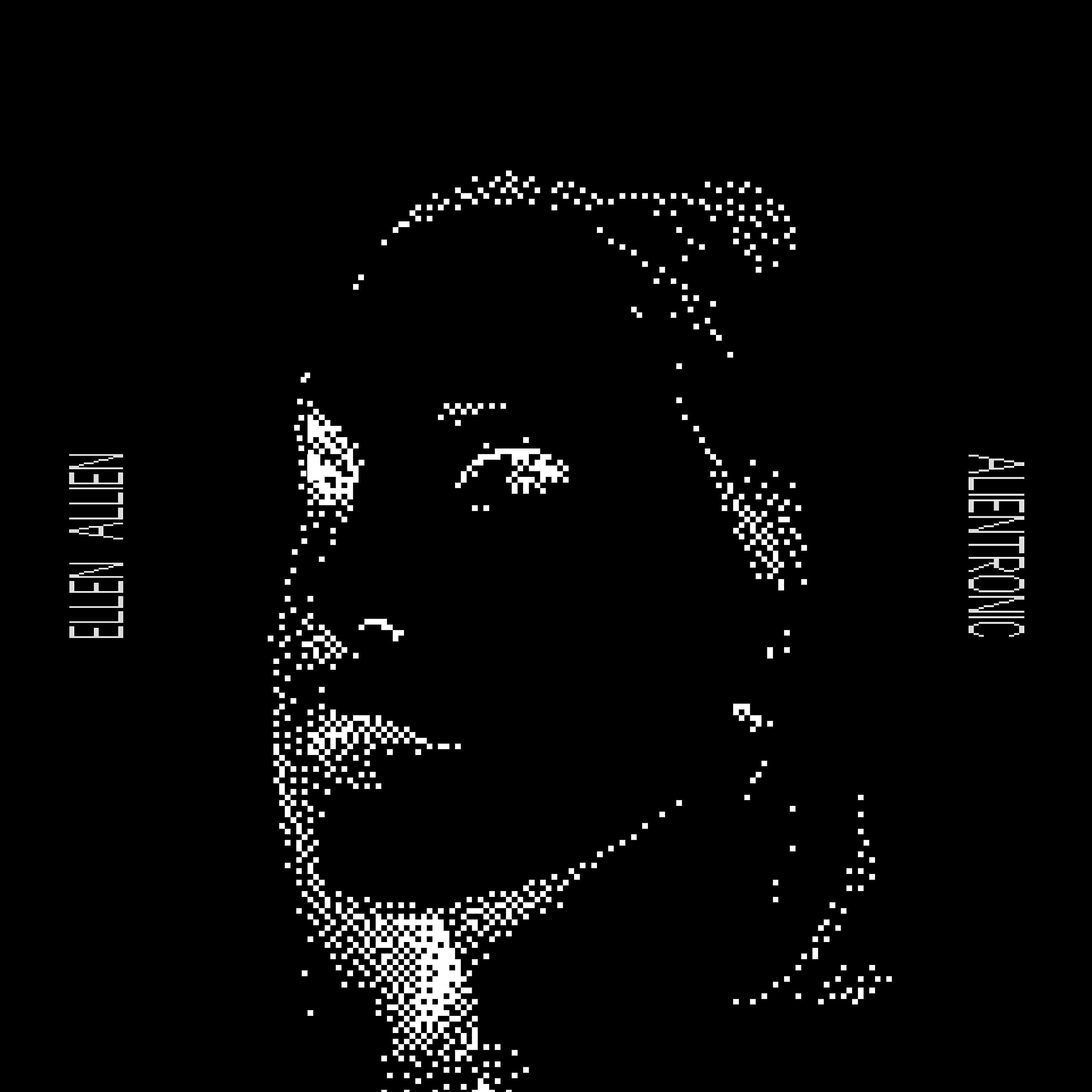 Ellen Allien - Bowie in Harmony