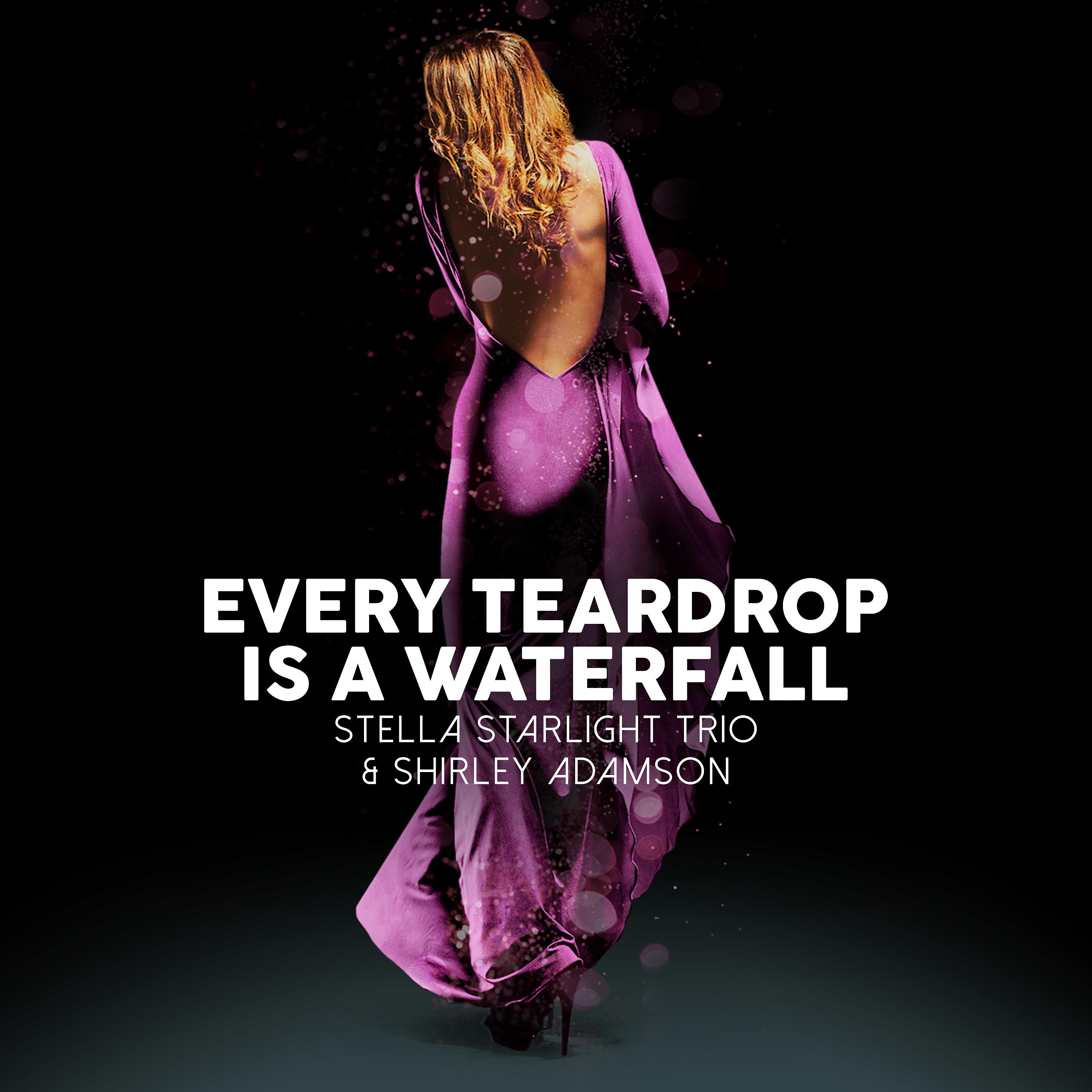 Постер альбома Every Teardrop is a Waterfall
