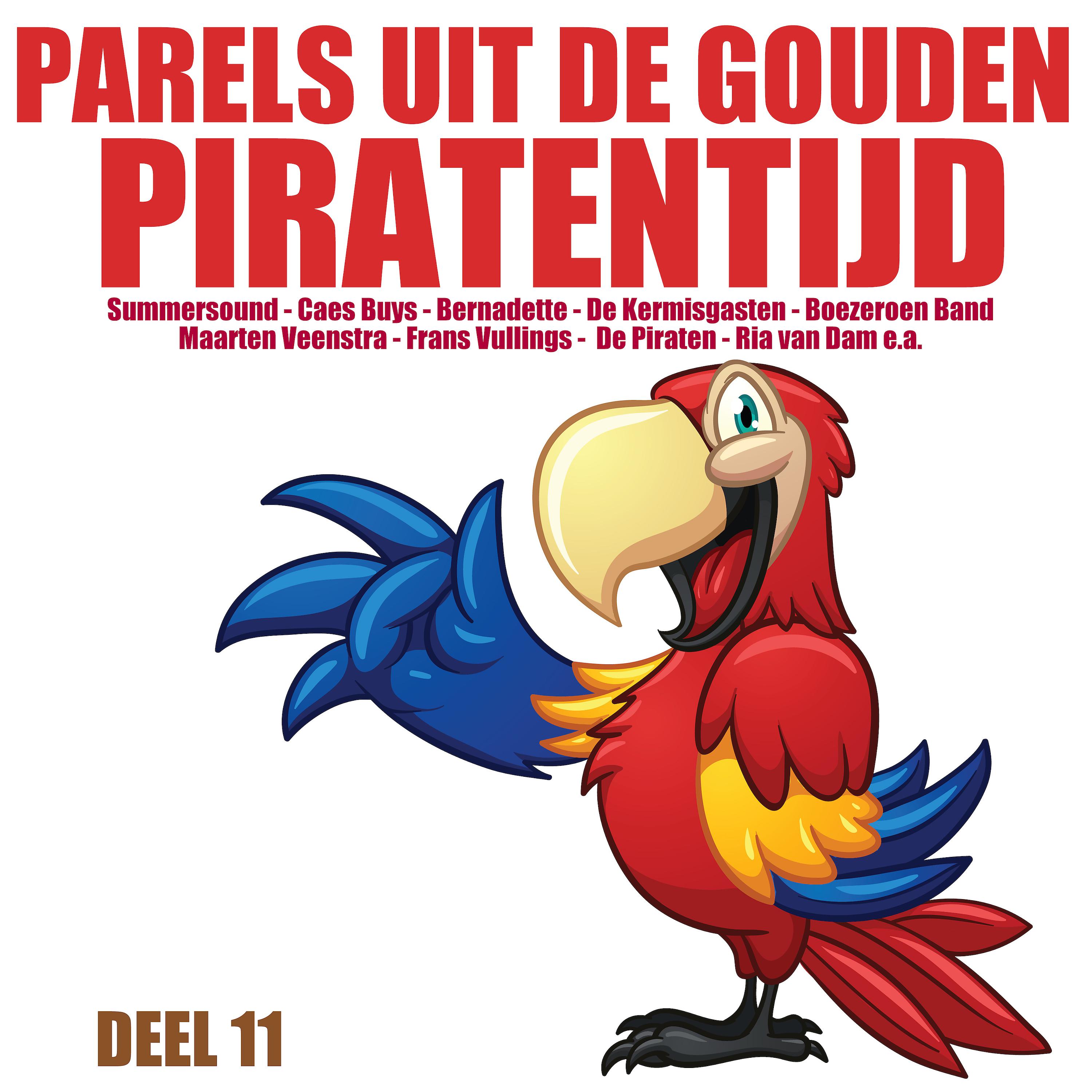 Постер альбома Parels uit de Gouden Piratentijd, Deel 11