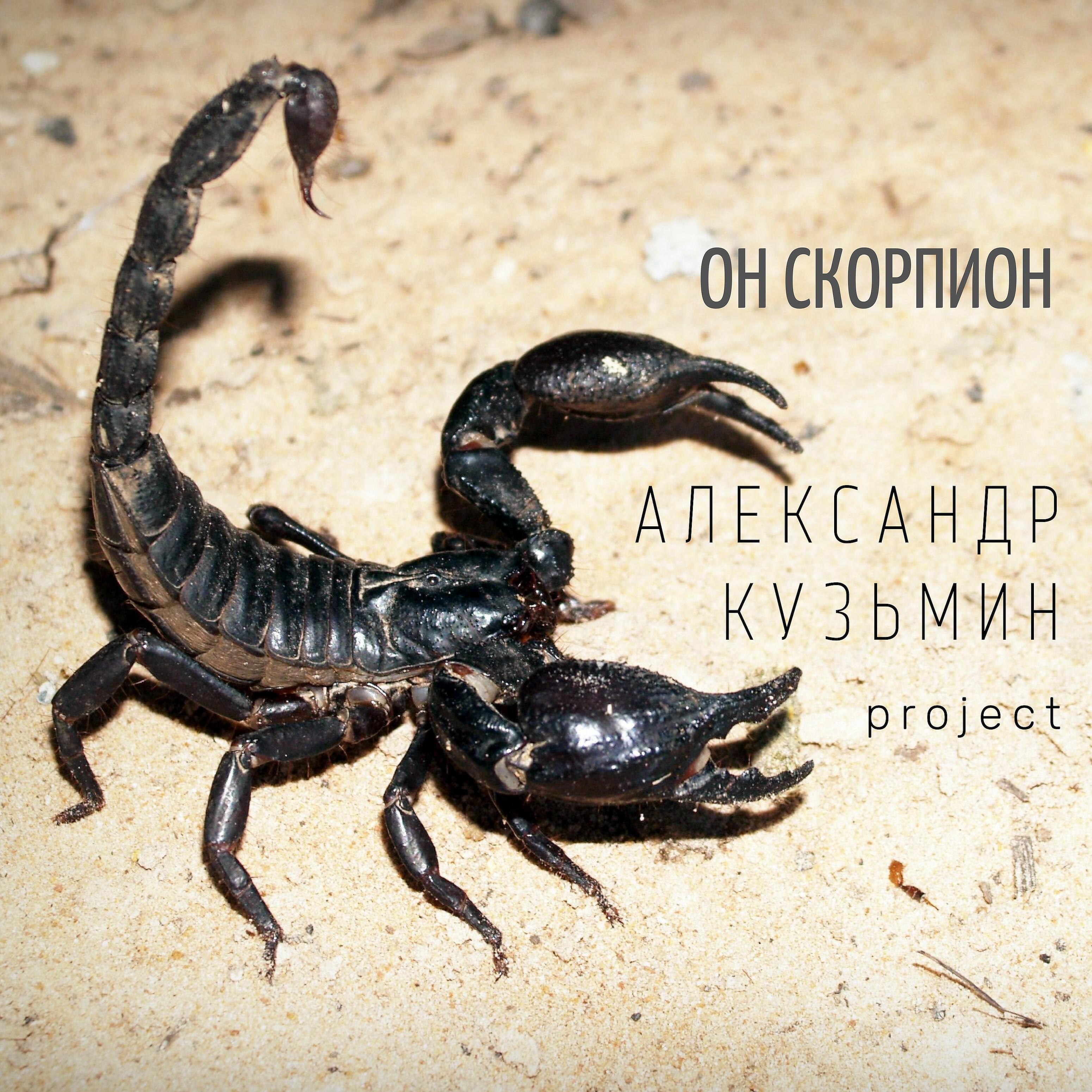 Александр Кузьмин Project - Он скорпион