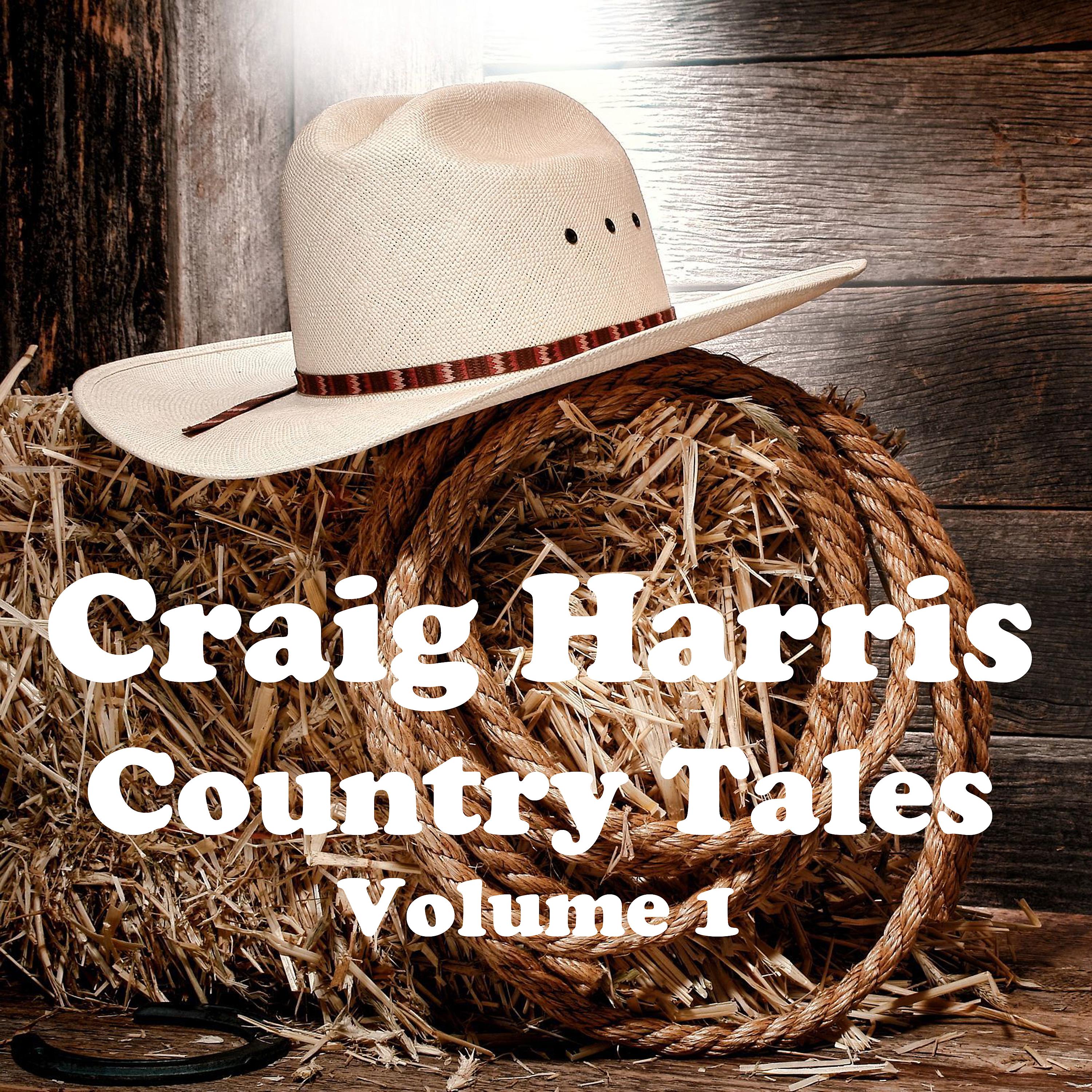 Постер альбома Country Tales Vol. 1
