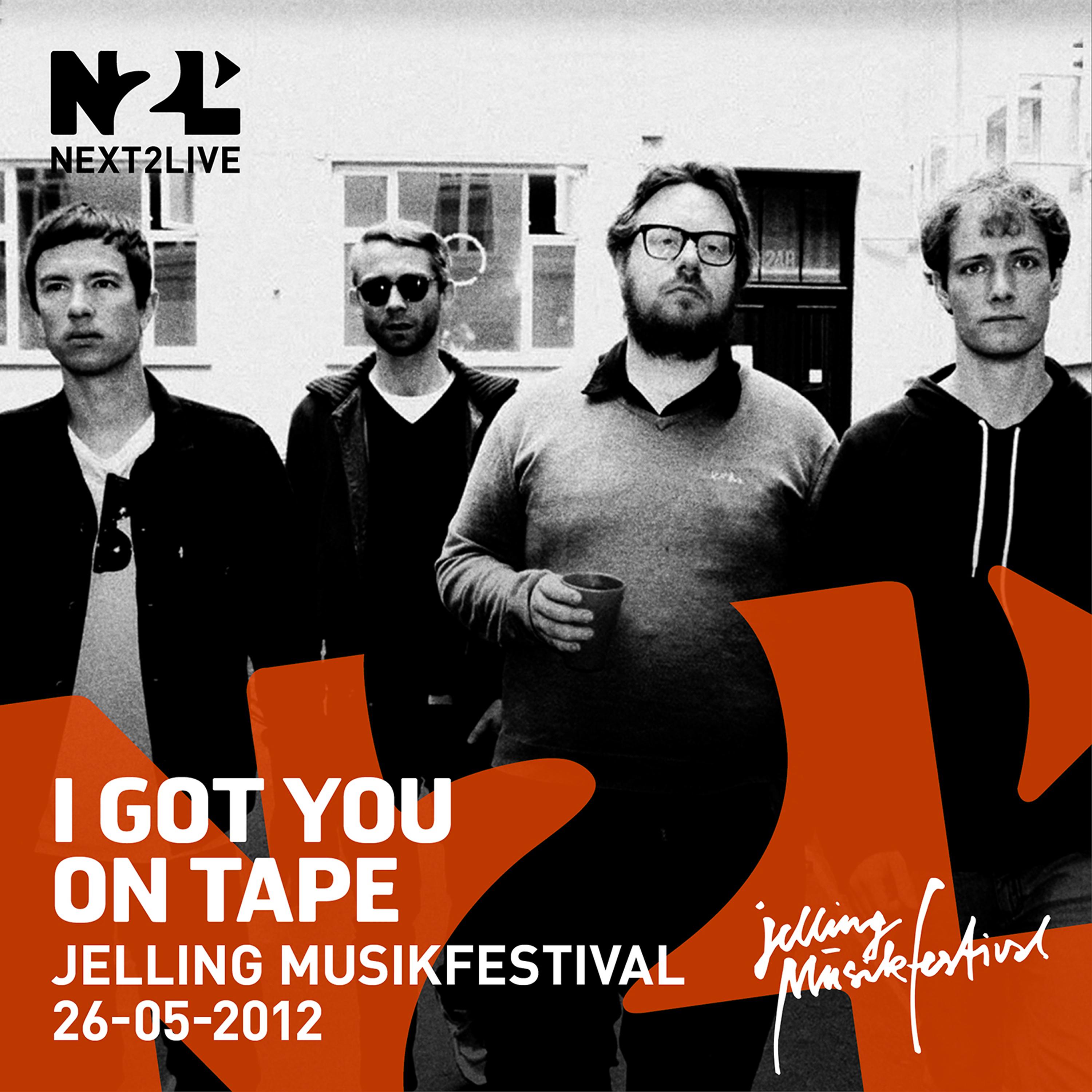 Постер альбома Jelling Musikfestival 2012