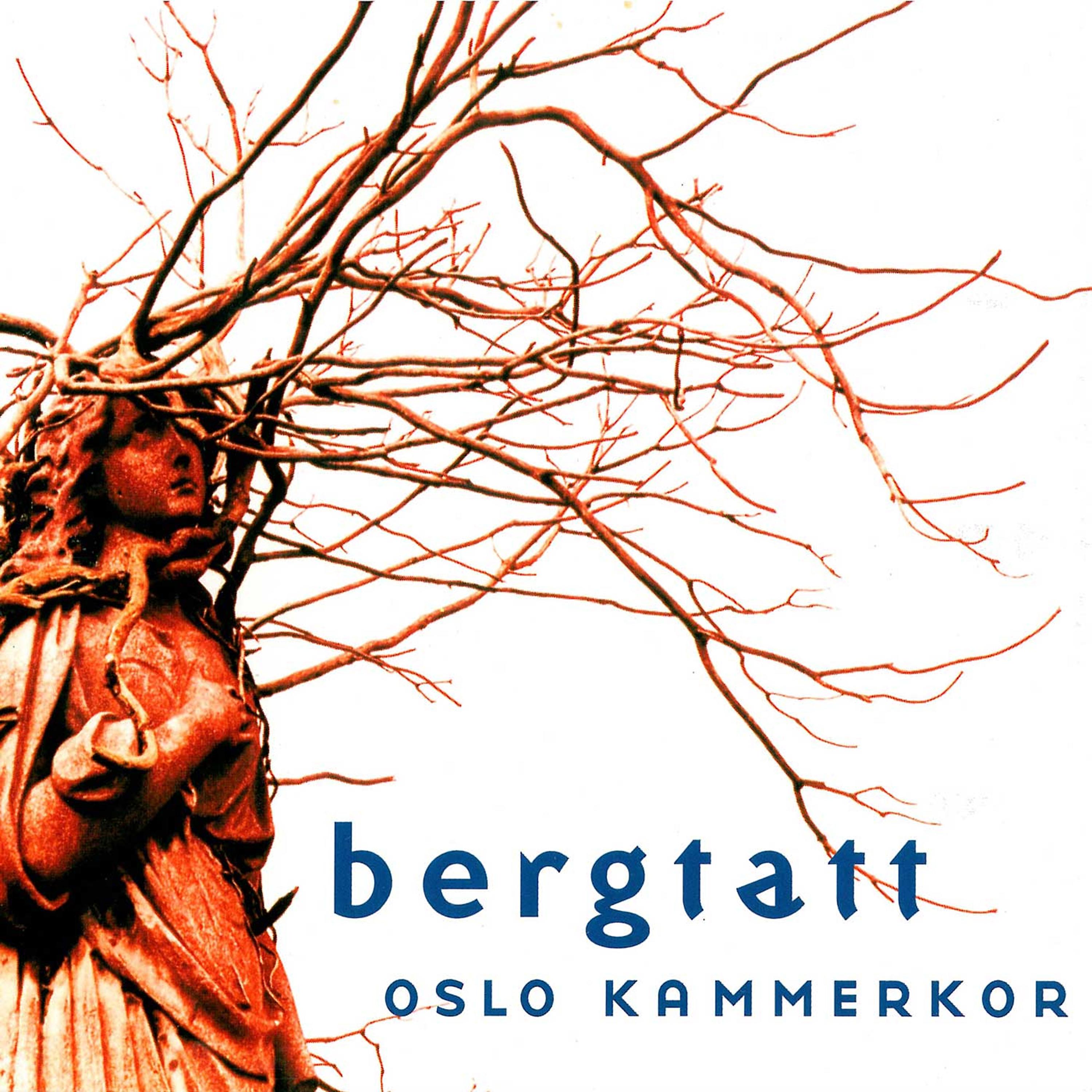 Постер альбома Bergtatt