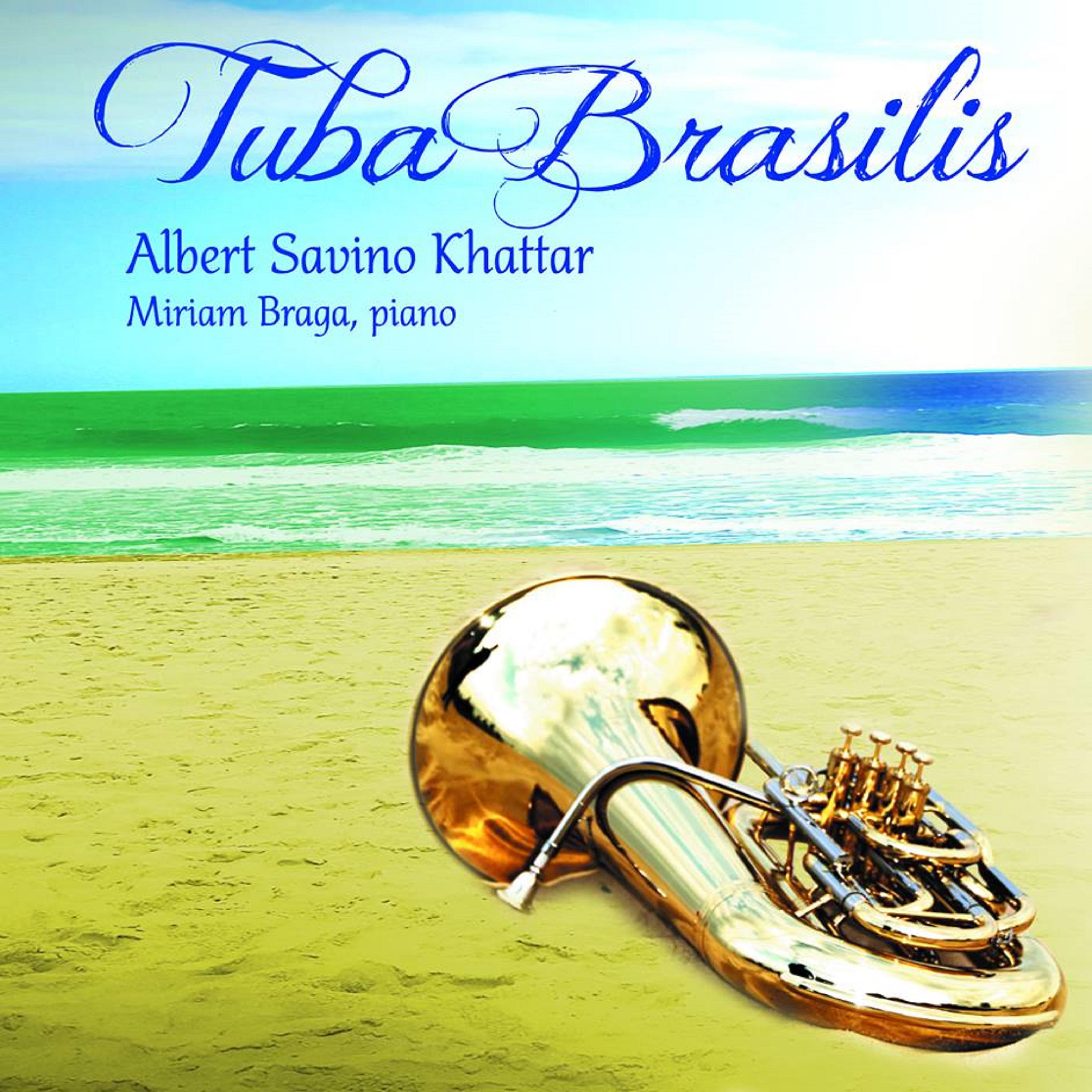 Постер альбома Tuba Brasilis