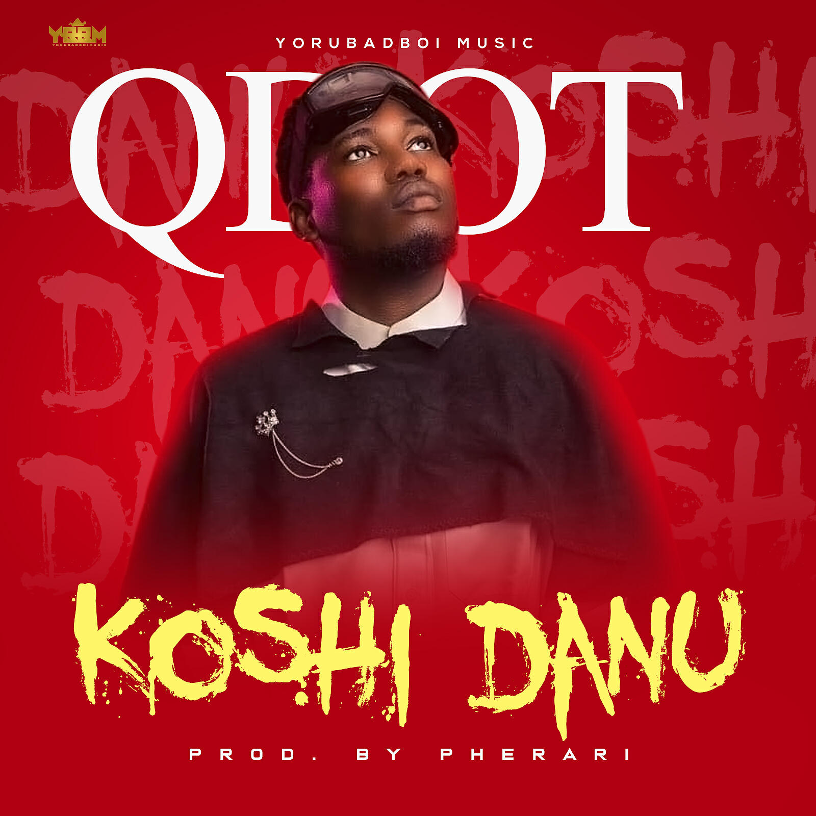 QDot - Koshi Danu