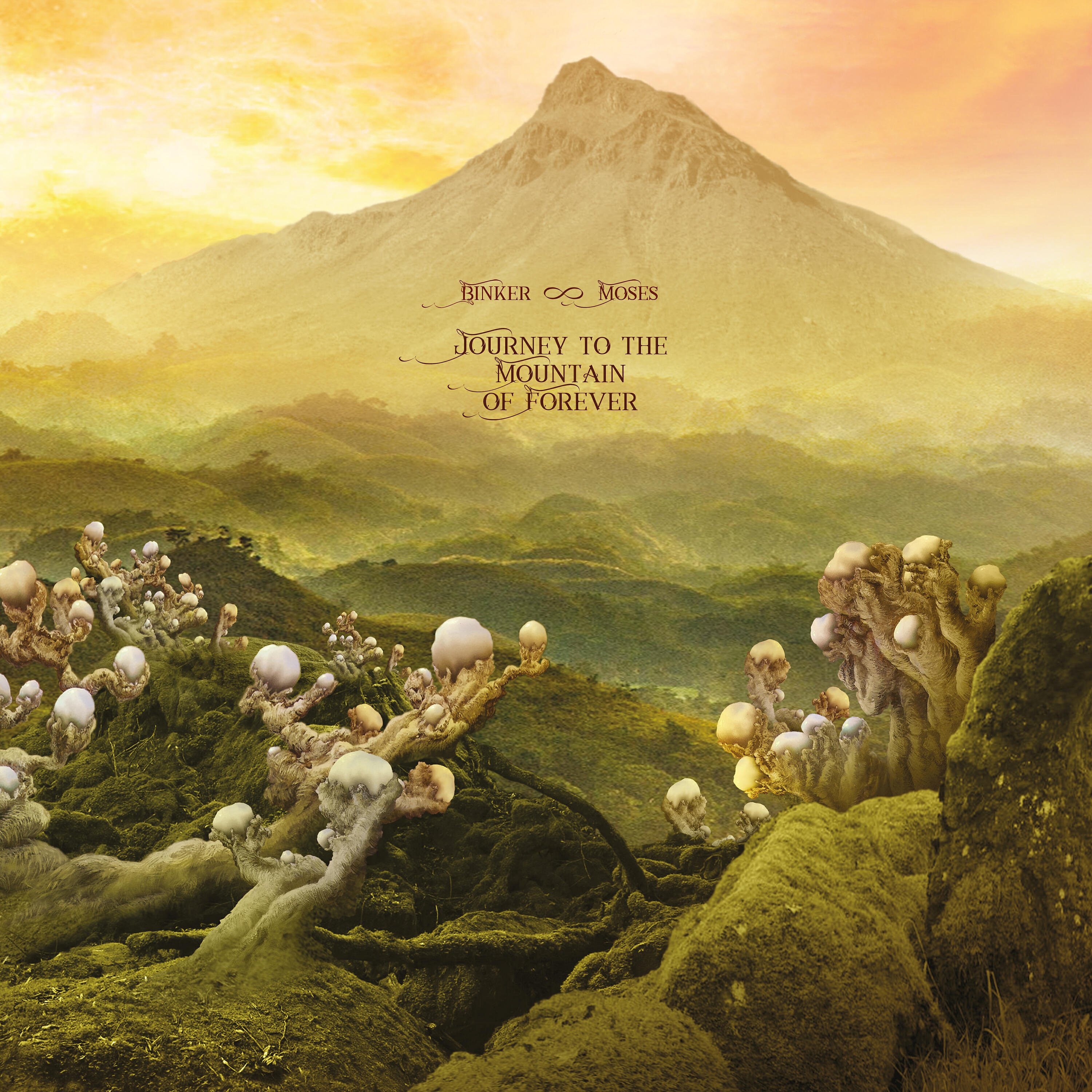 Binker - Intoxication from the Jahvmonishi Leaves