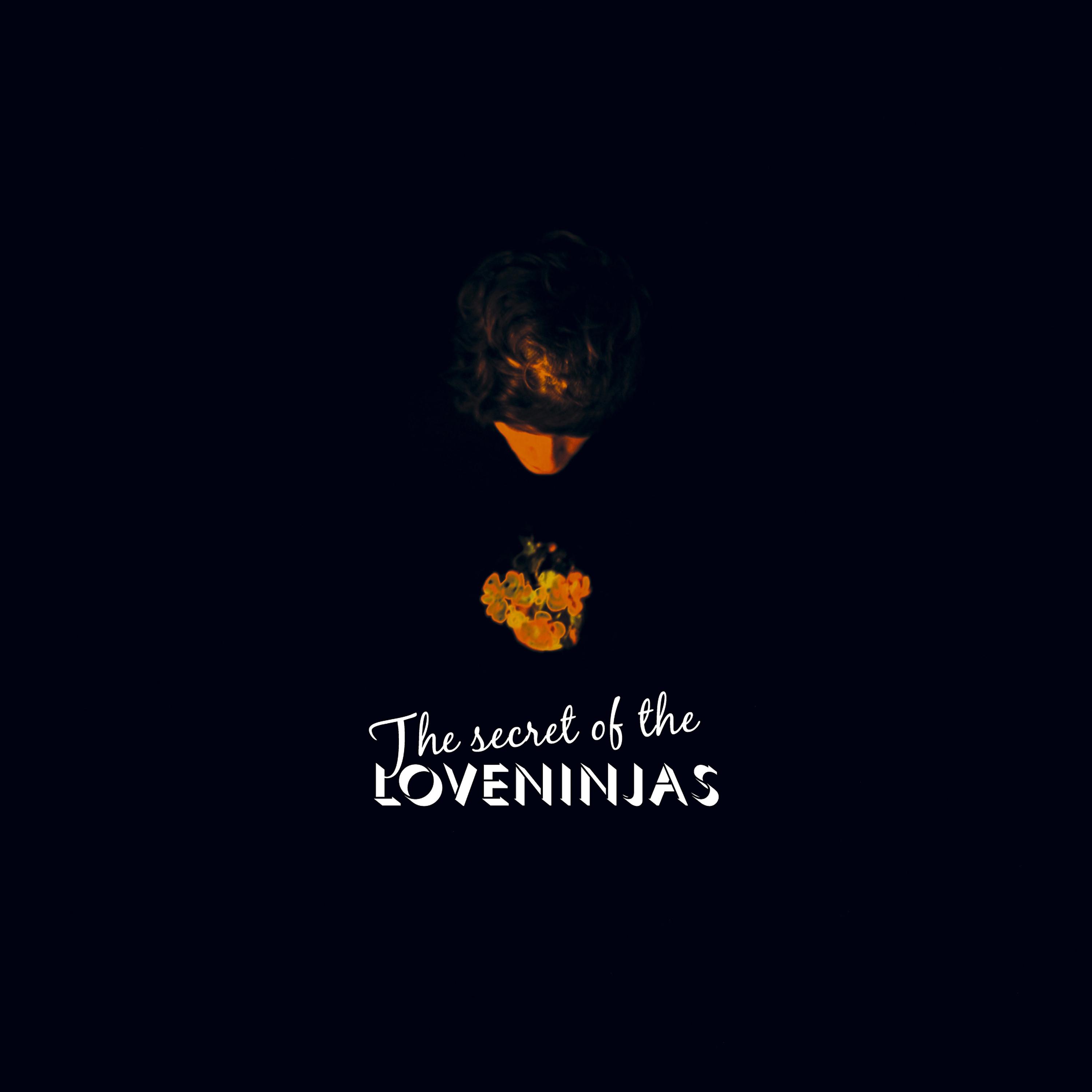 Постер альбома The Secret of the Loveninjas