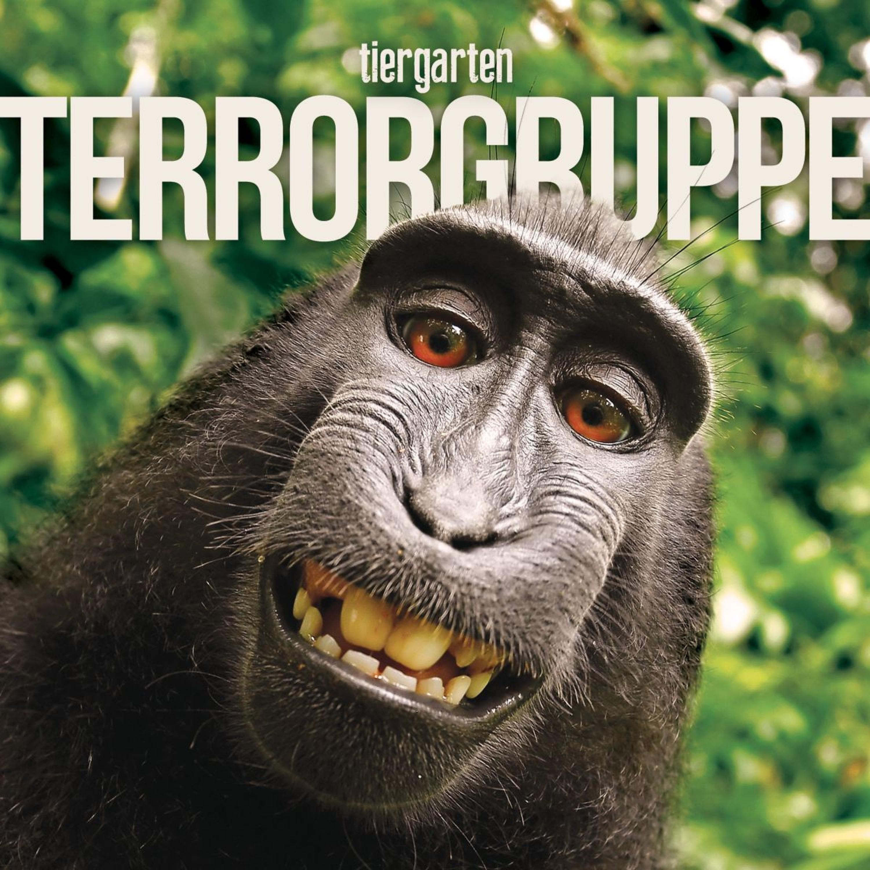 Постер альбома Tiergarten