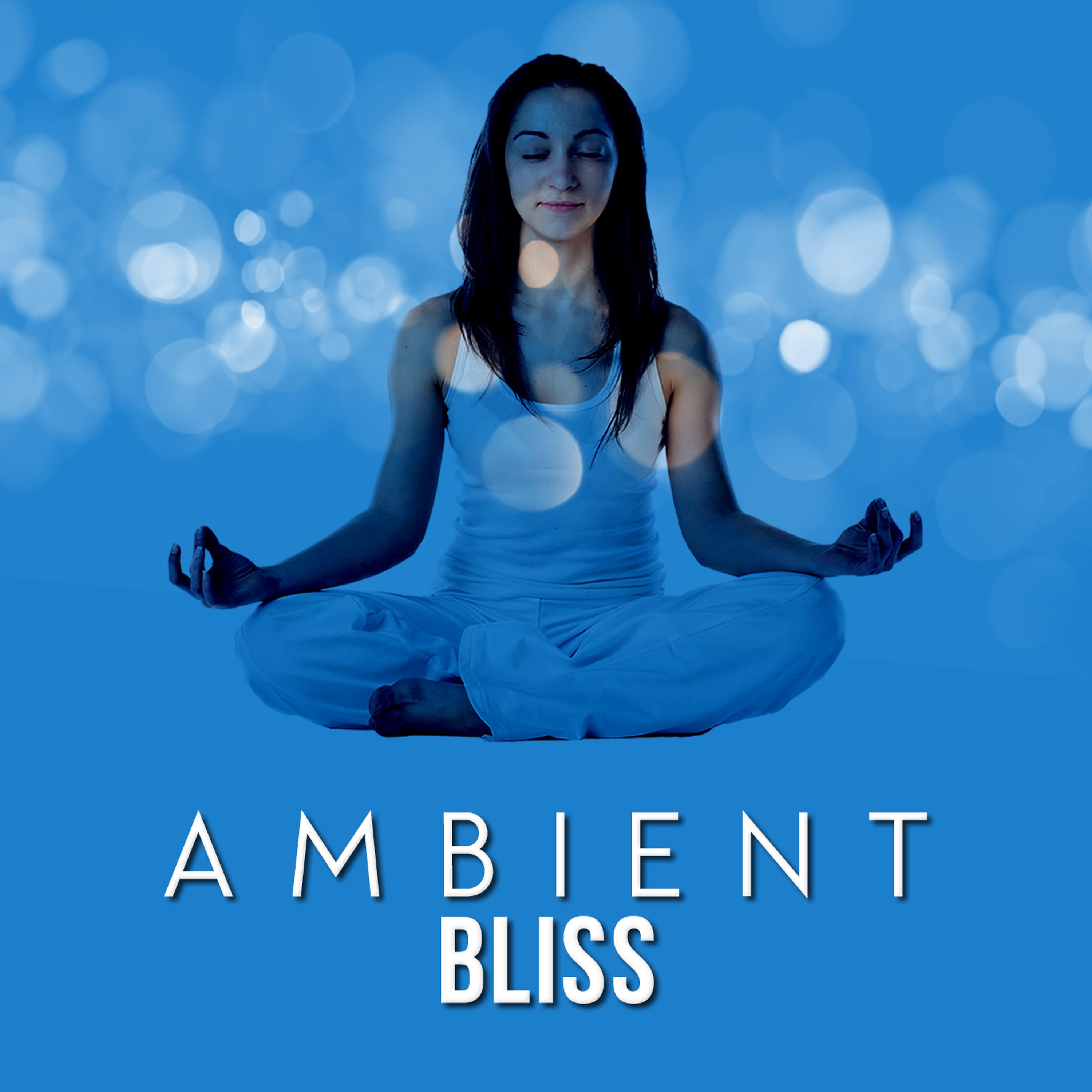 Постер альбома Ambient Bliss