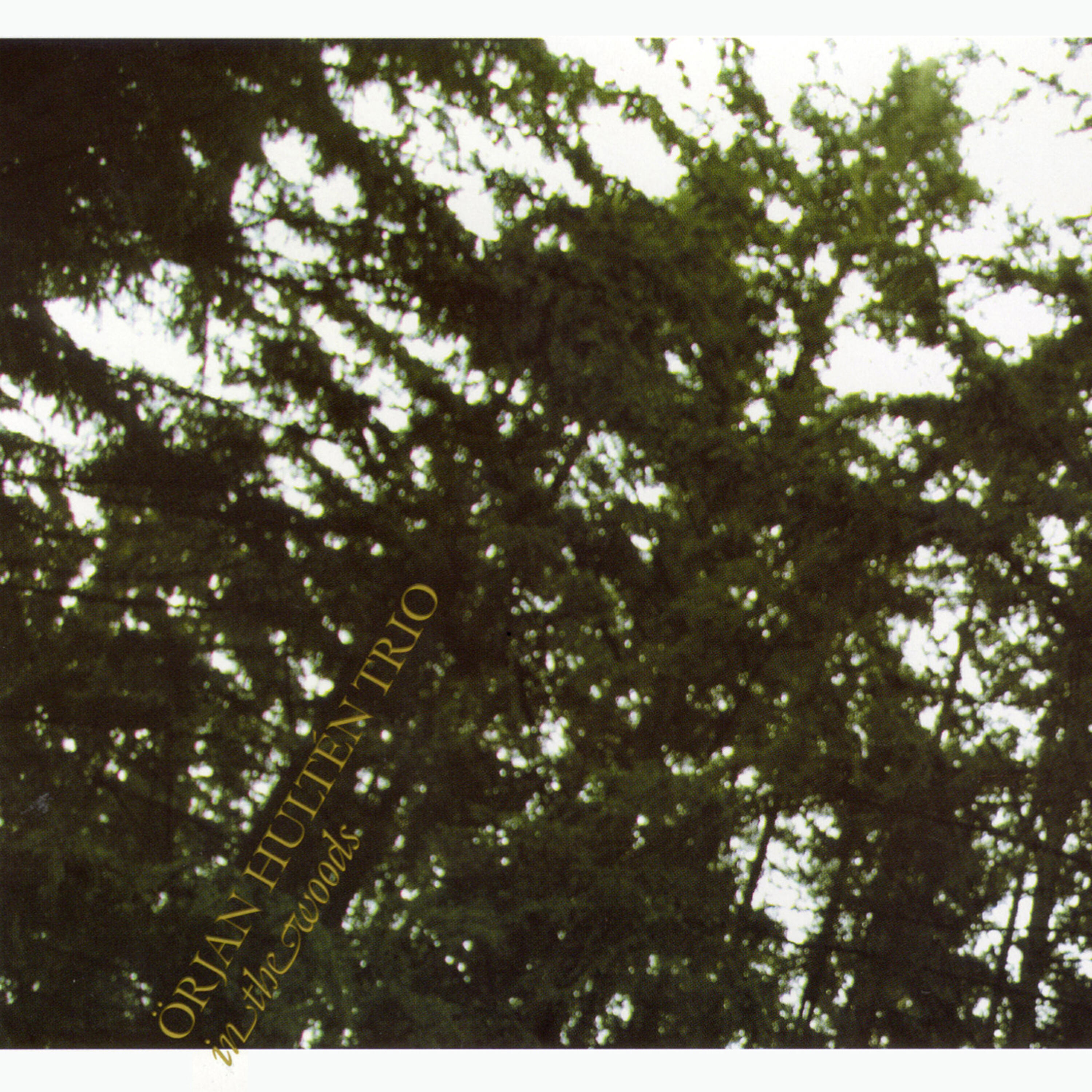 Örjan Hultén Trio - Spoken out of Fear (And Anger)