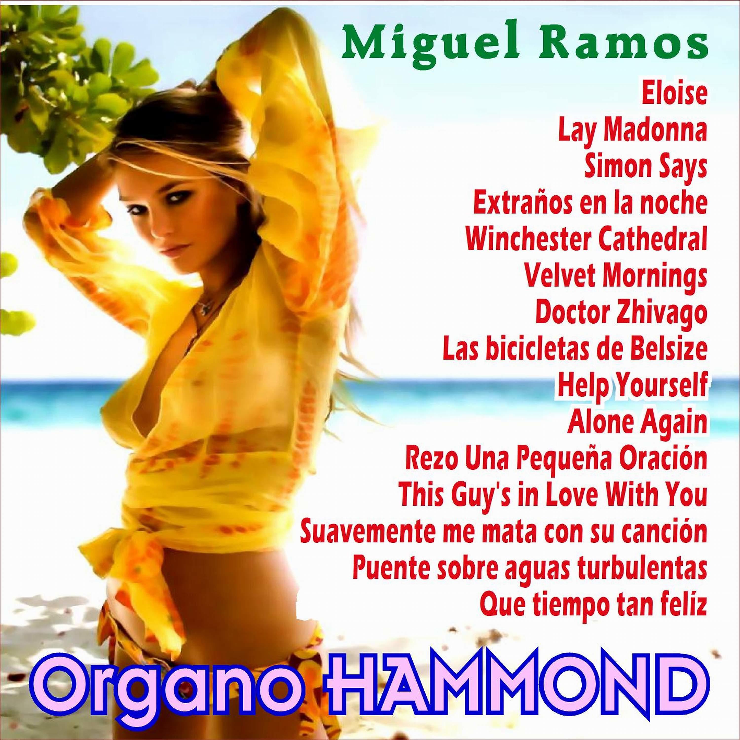 Постер альбома Organo Hammond - Selección de Éxitos