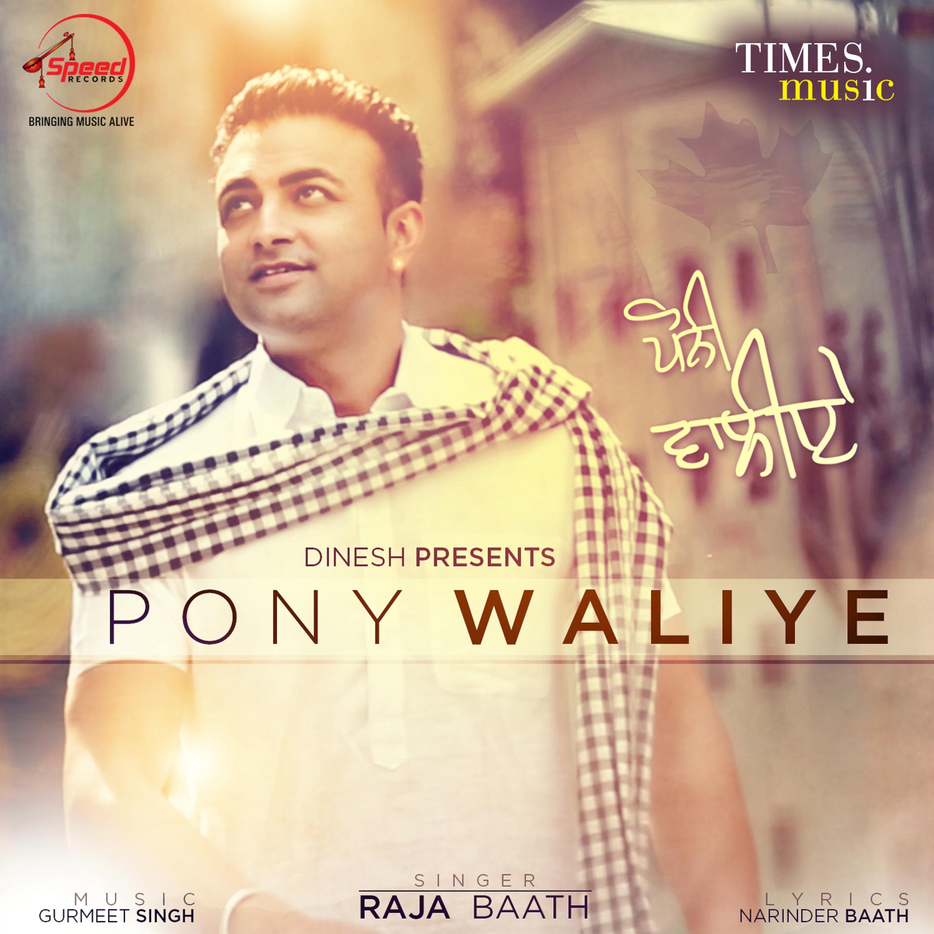 Постер альбома Pony Waliye - Single