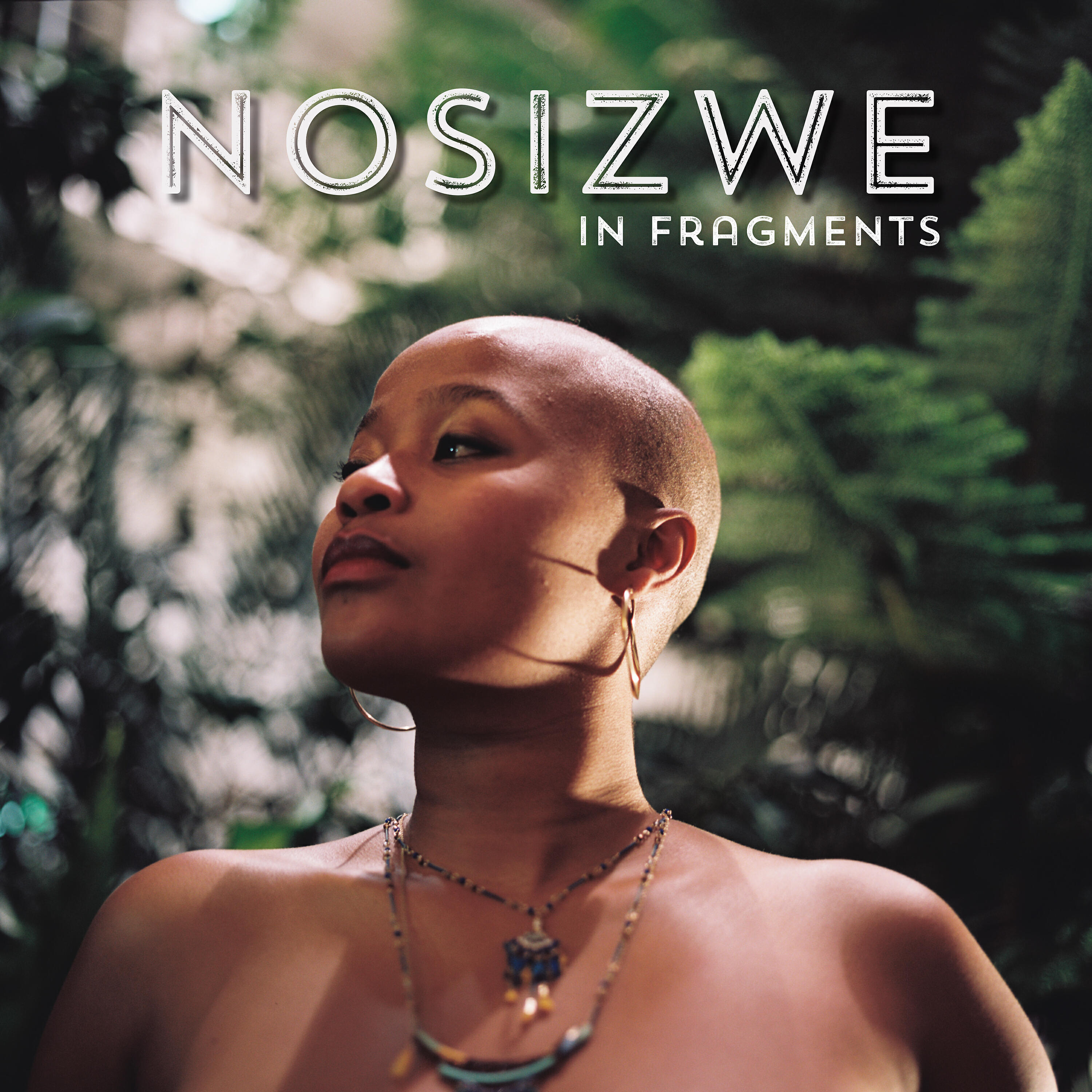 Nosizwe - Nordic Lights