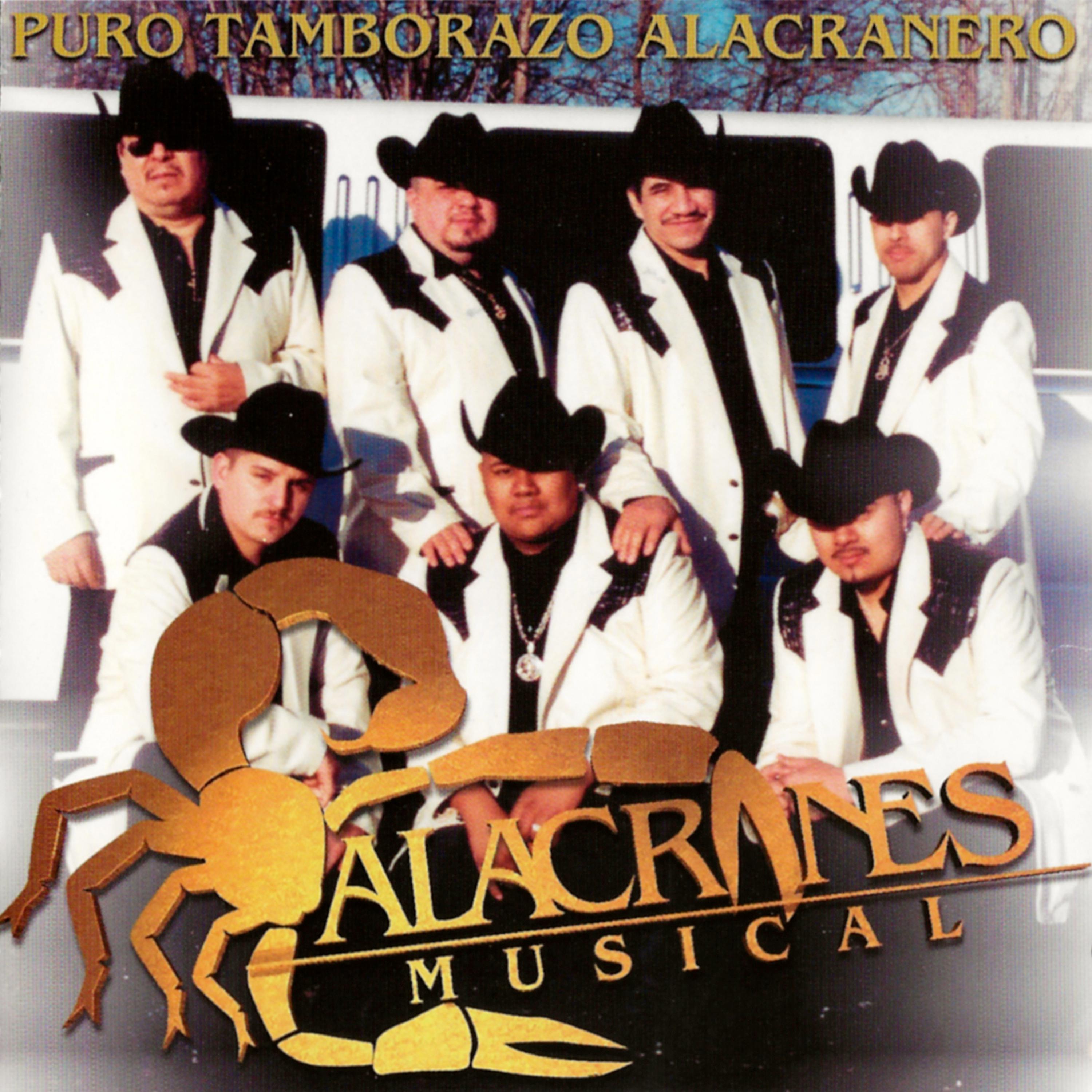 Постер альбома Puro Tamborazo Alacranero