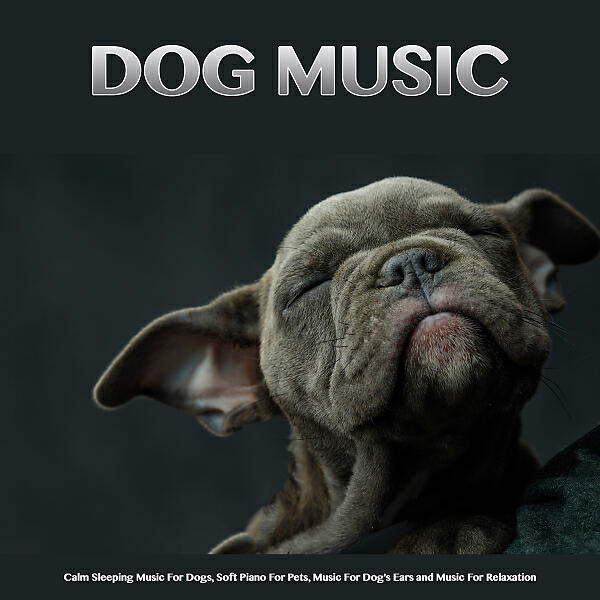 Dog Music - Music for Doggo