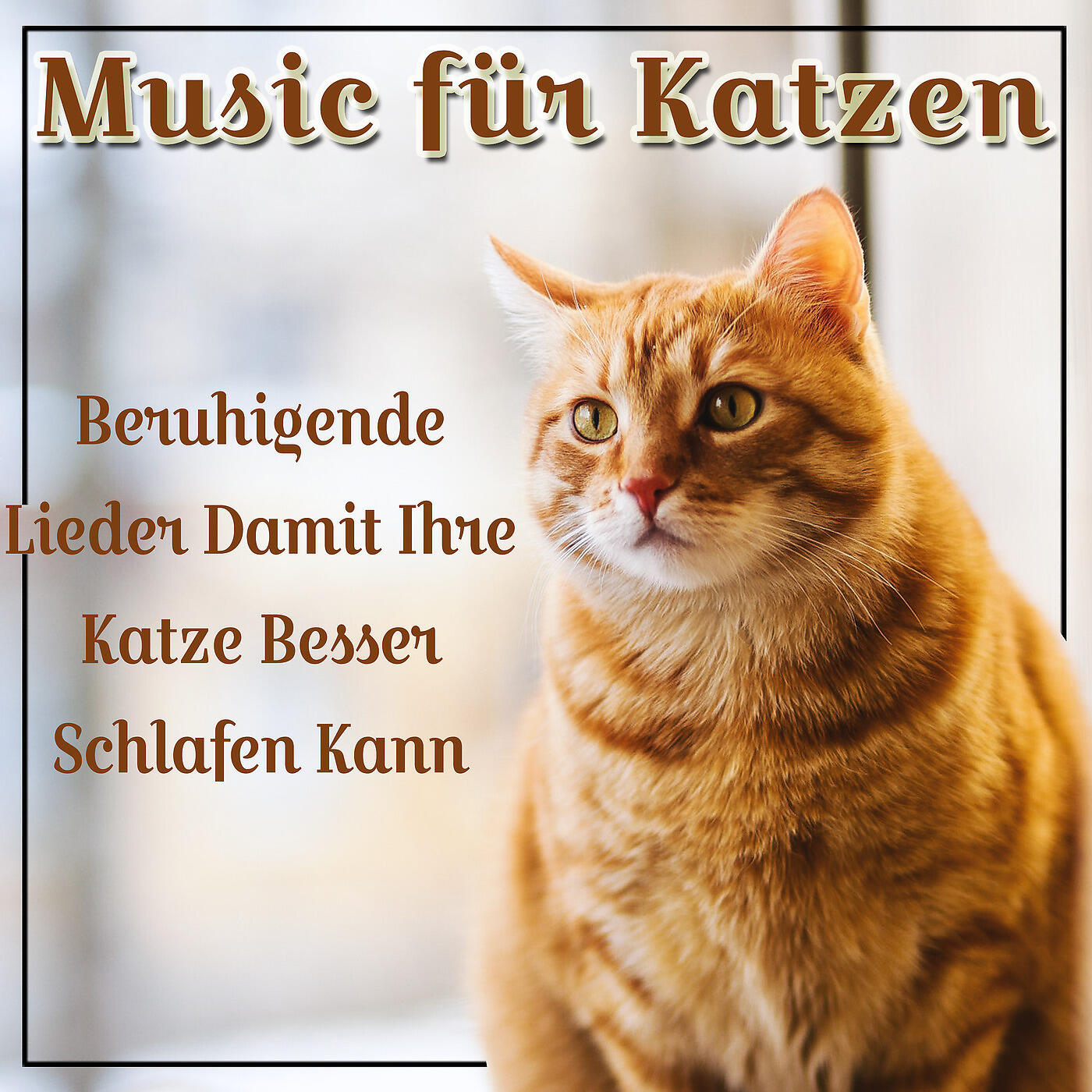 Music For Cats Peace - Mondlicht