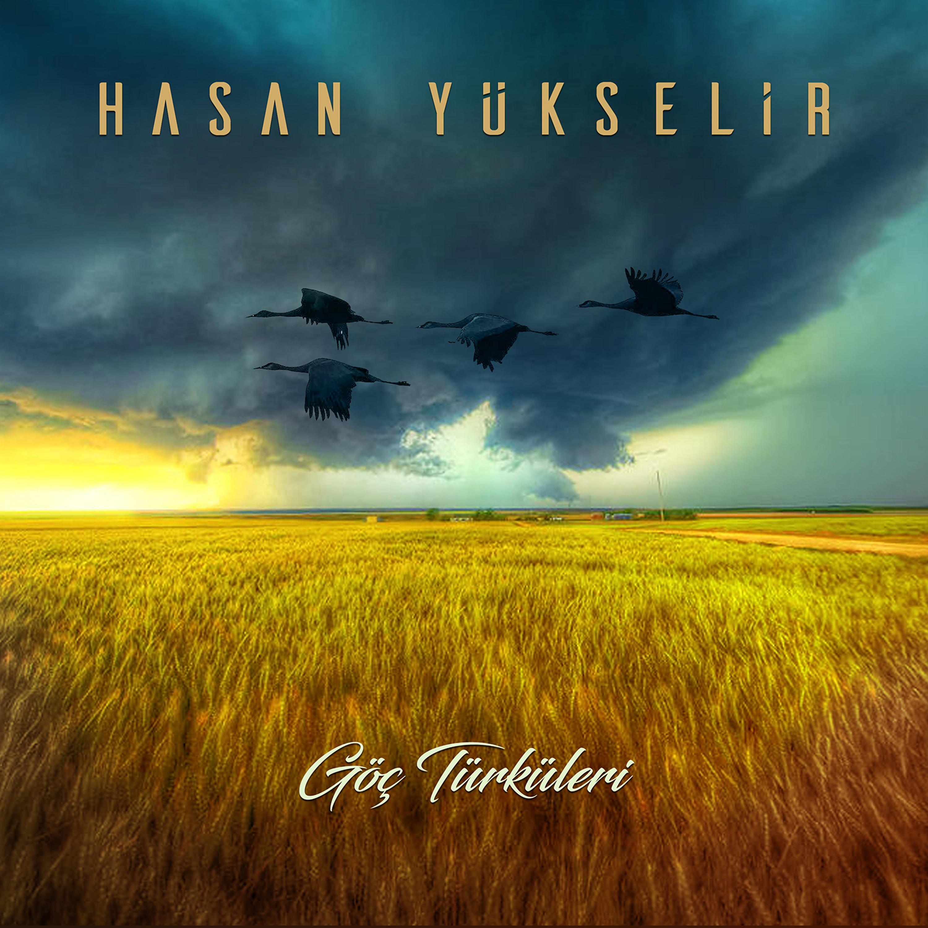 Постер альбома Göç Türküler