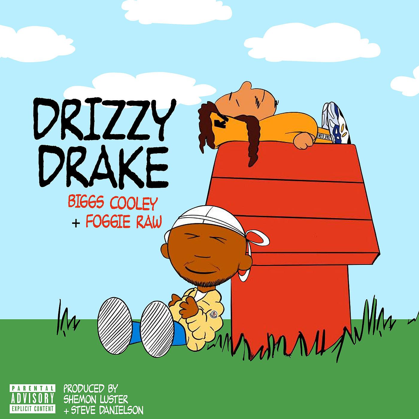 Постер альбома Drizzy Drake