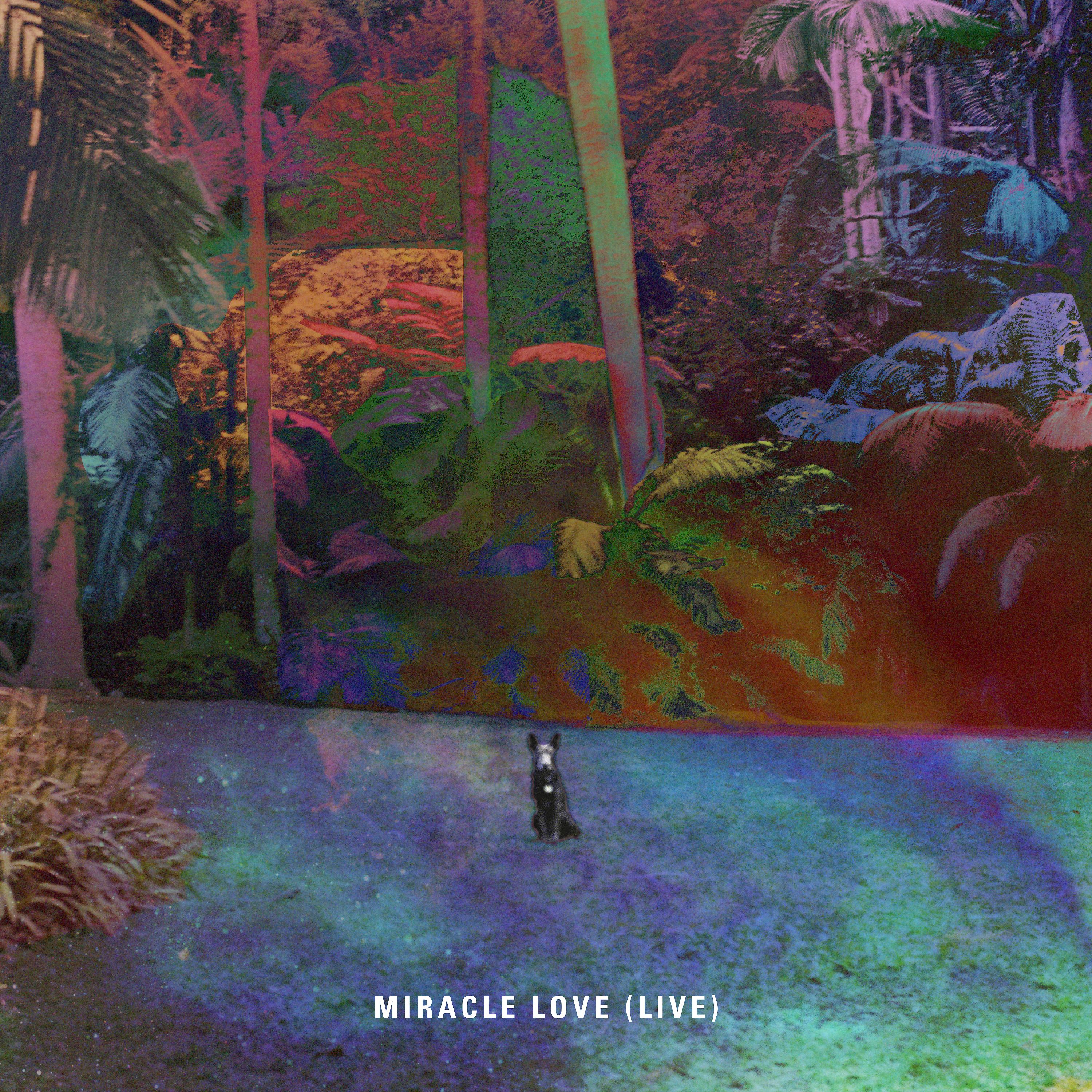Постер альбома Miracle Love (Live)