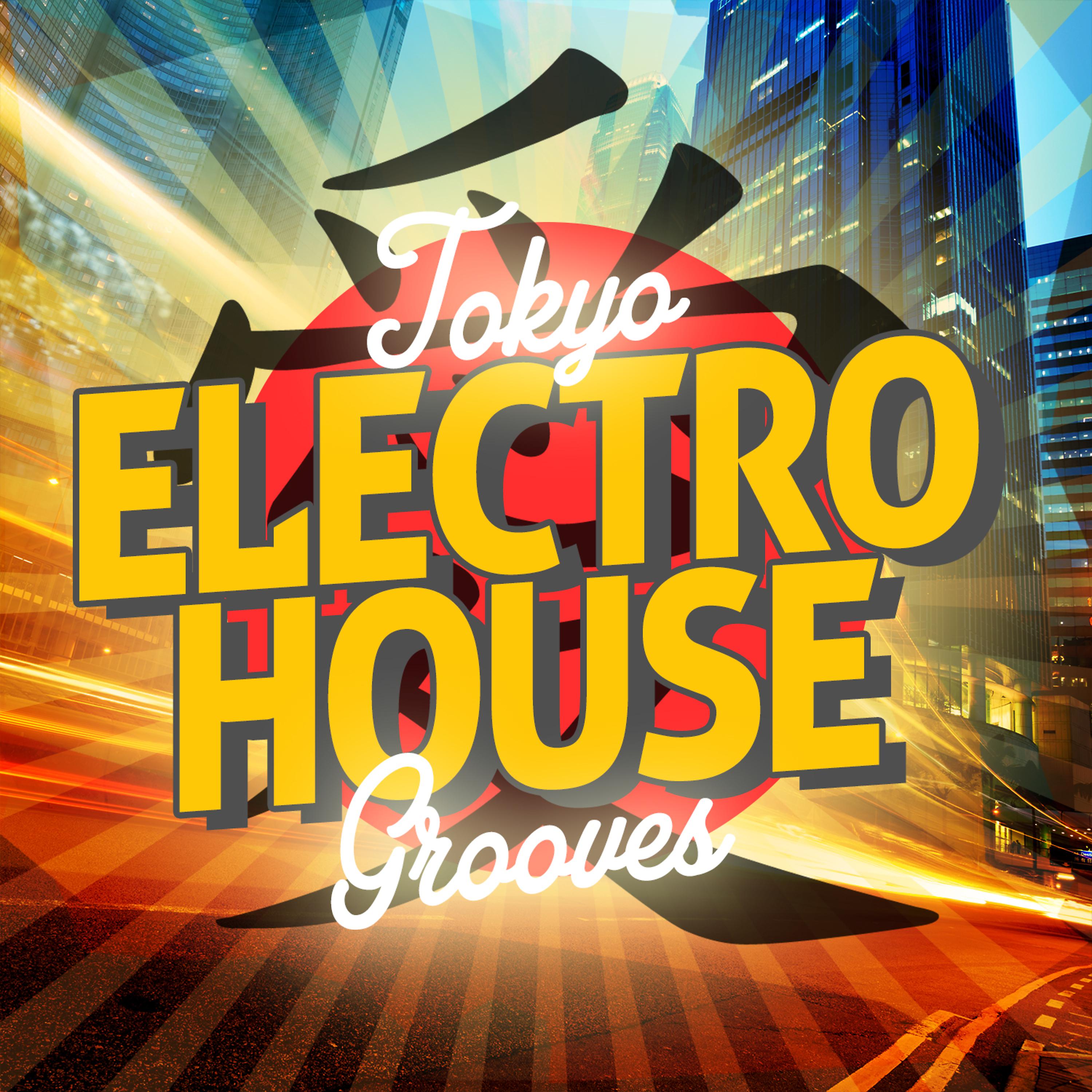 Постер альбома Tokyo Electro House Grooves