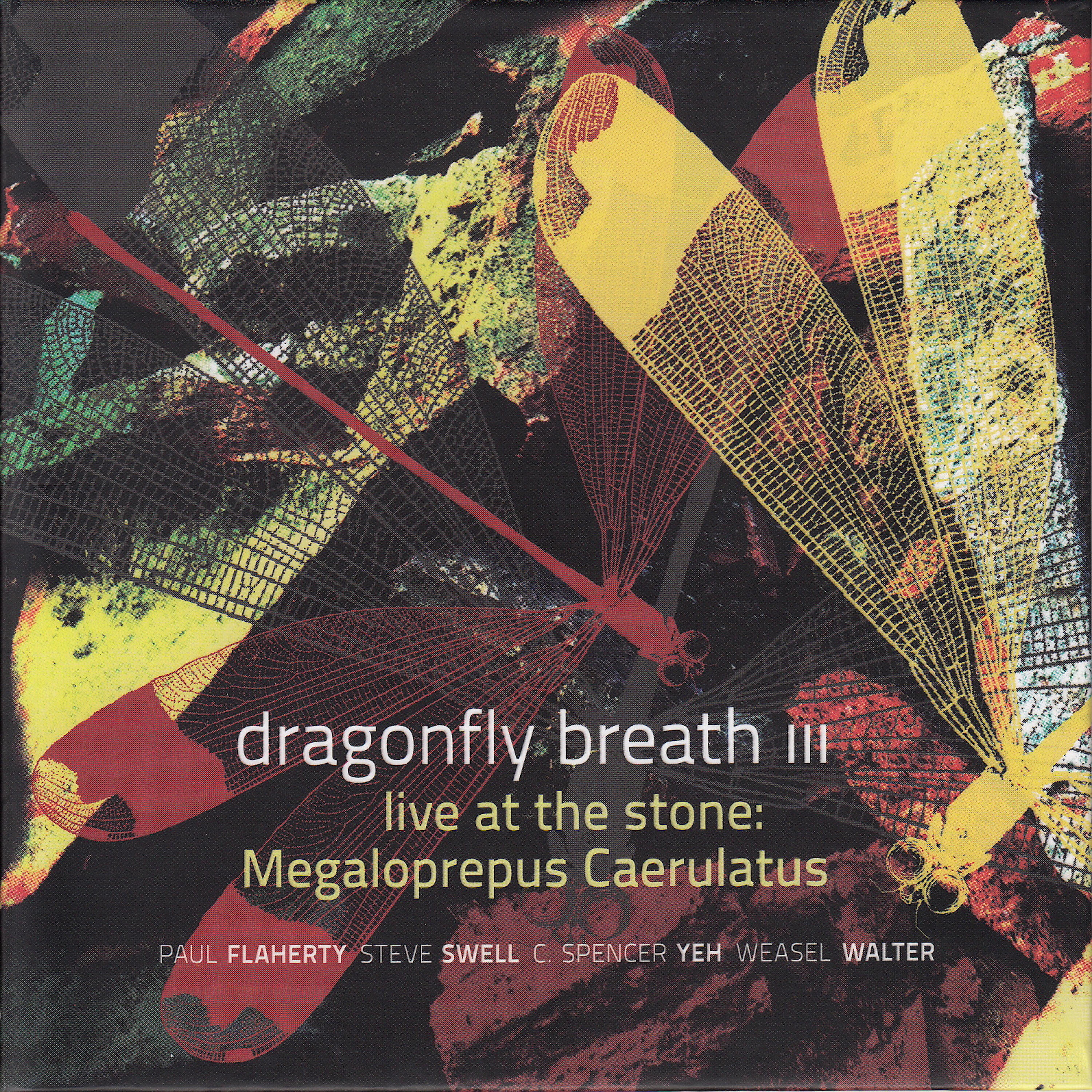 Steve Swell - Megaloprepus Caerulatus (Live)