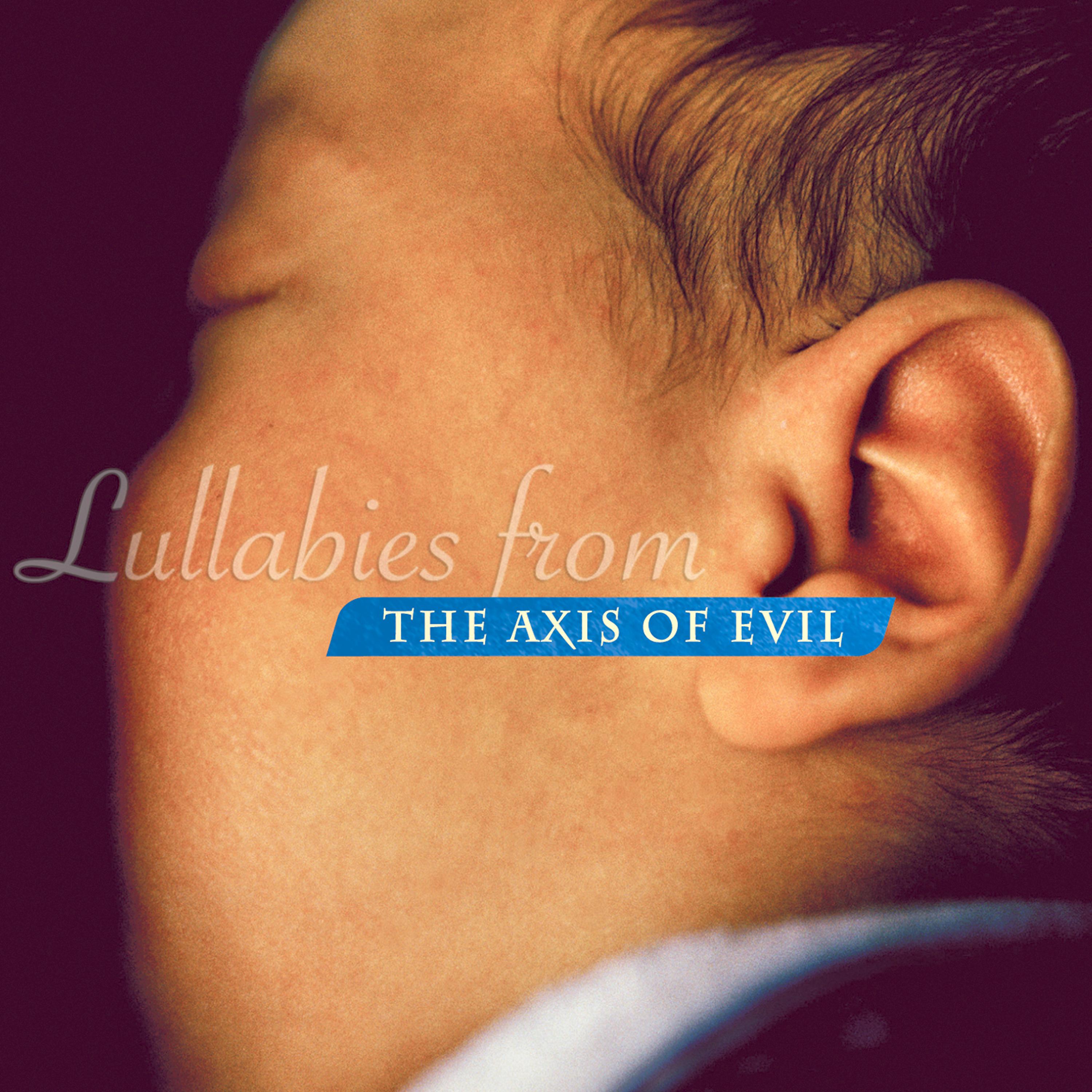 Постер альбома Lullabies from the Axis of Evil