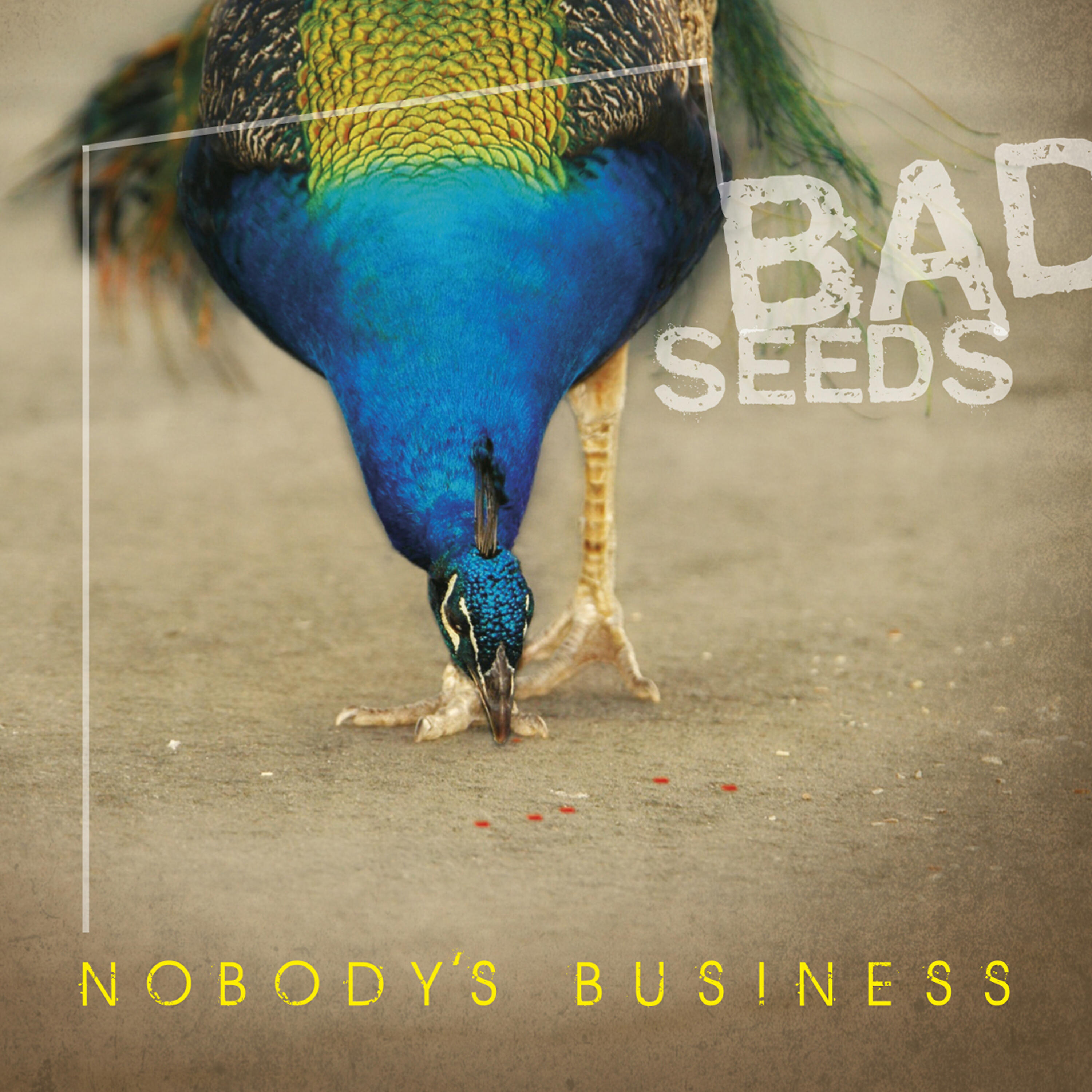 Nobody's Business - Bad Seed Trio