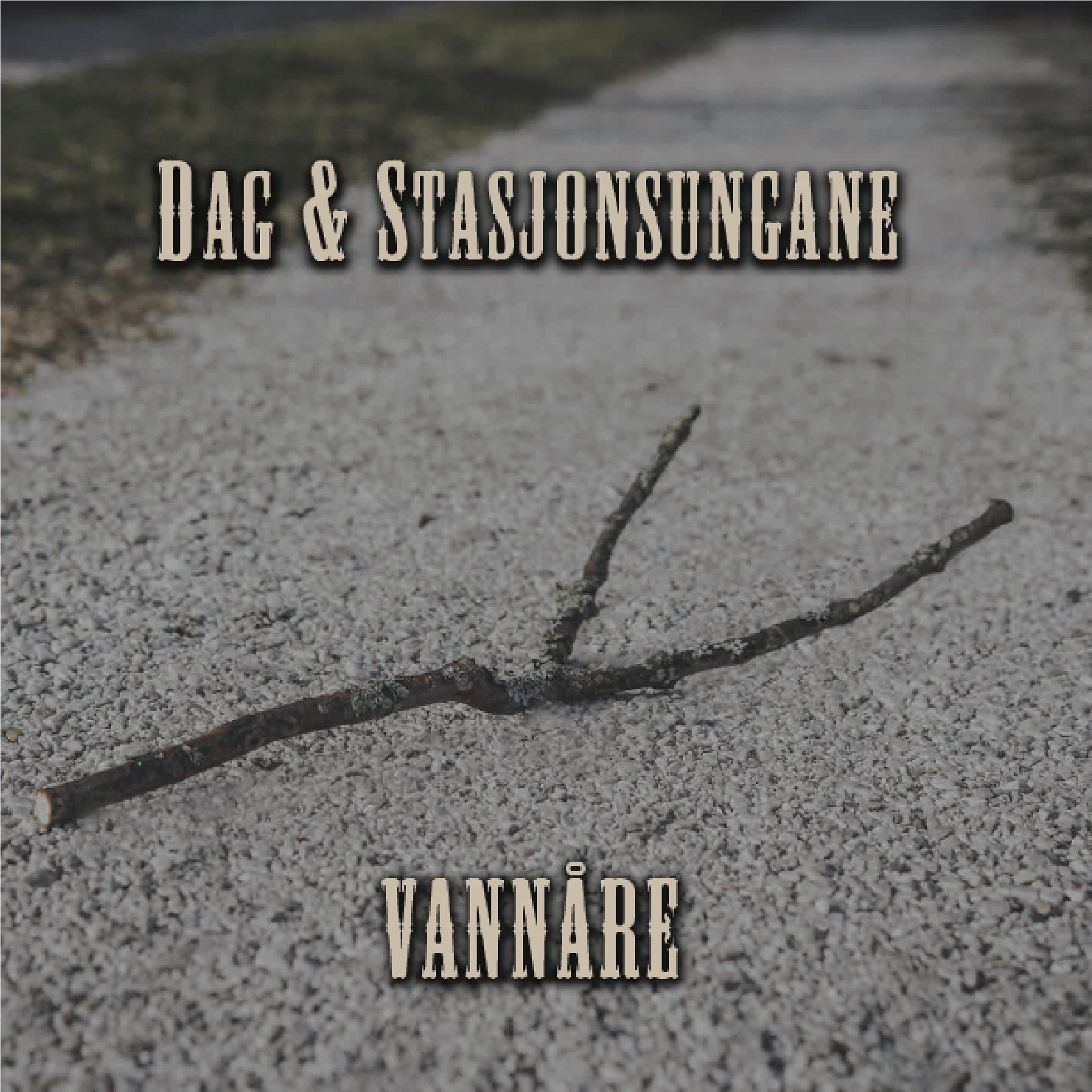 Постер альбома Vannåre