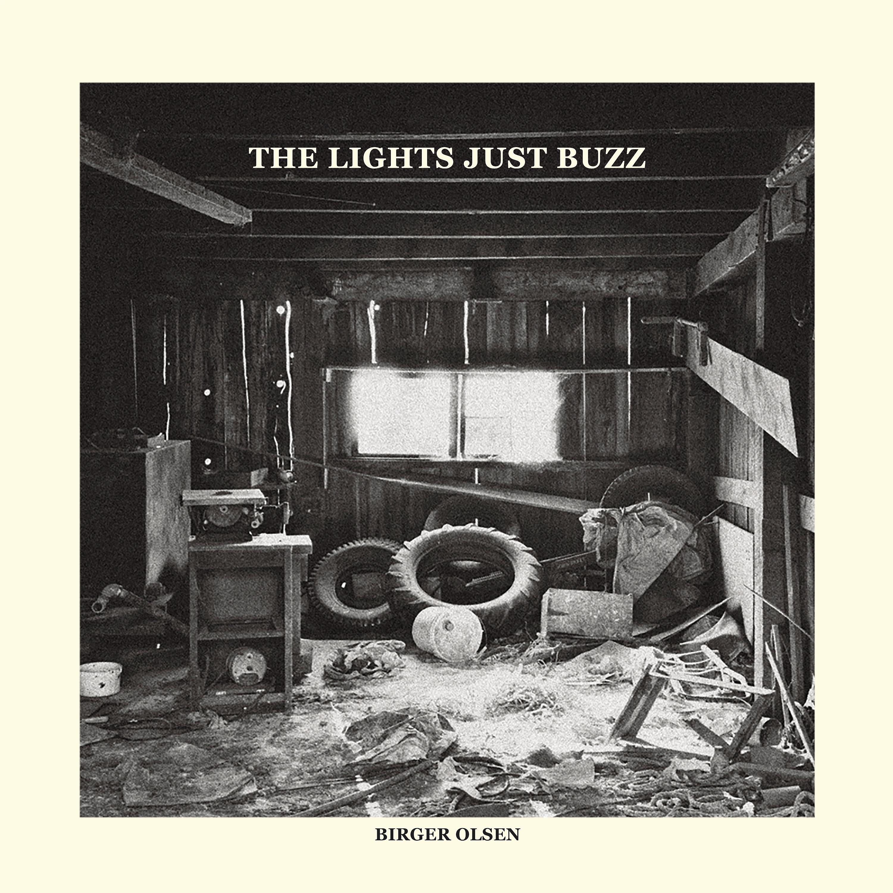 Постер альбома The Lights Just Buzz