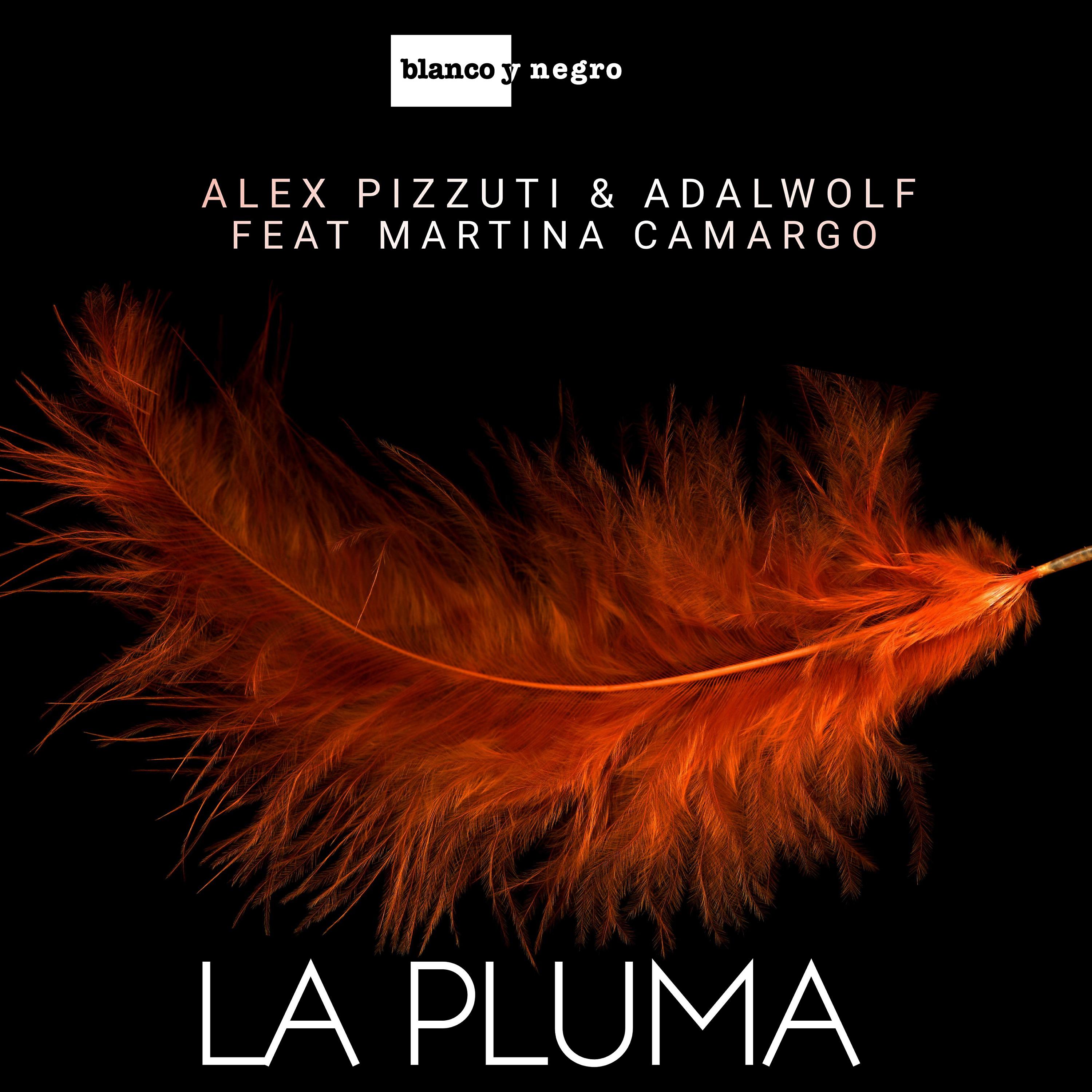 Постер альбома La Pluma