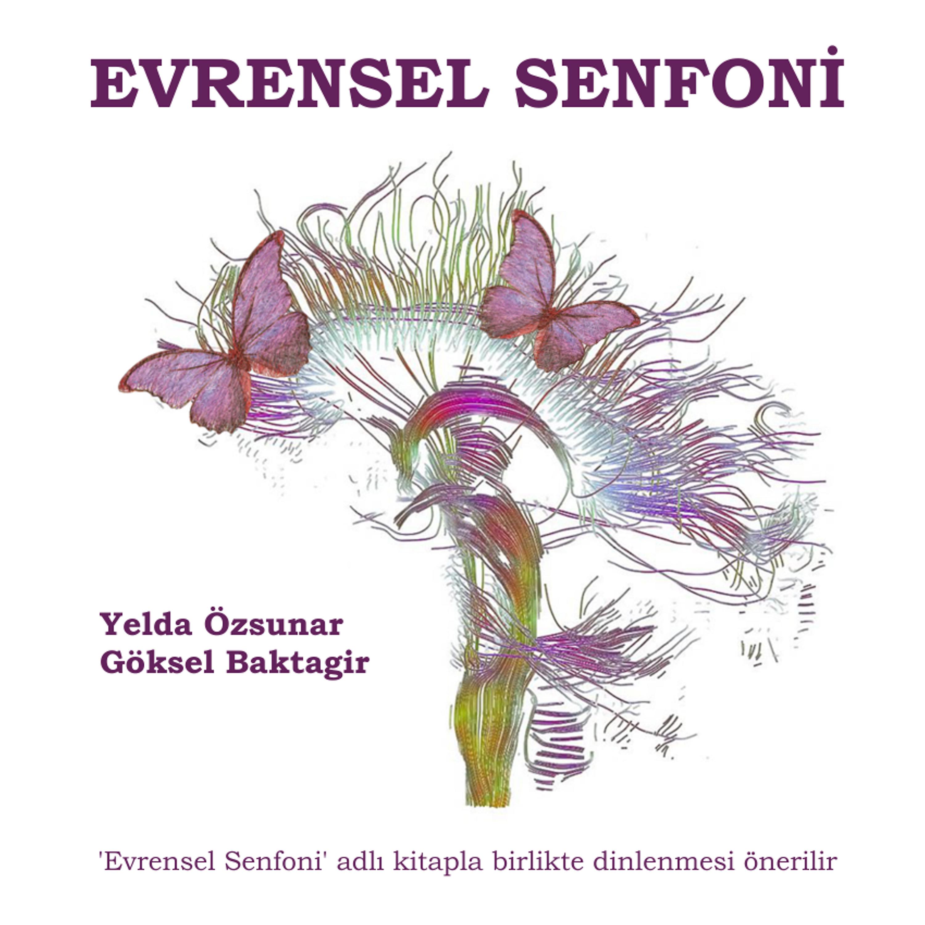 Постер альбома Evrensel Senfoni