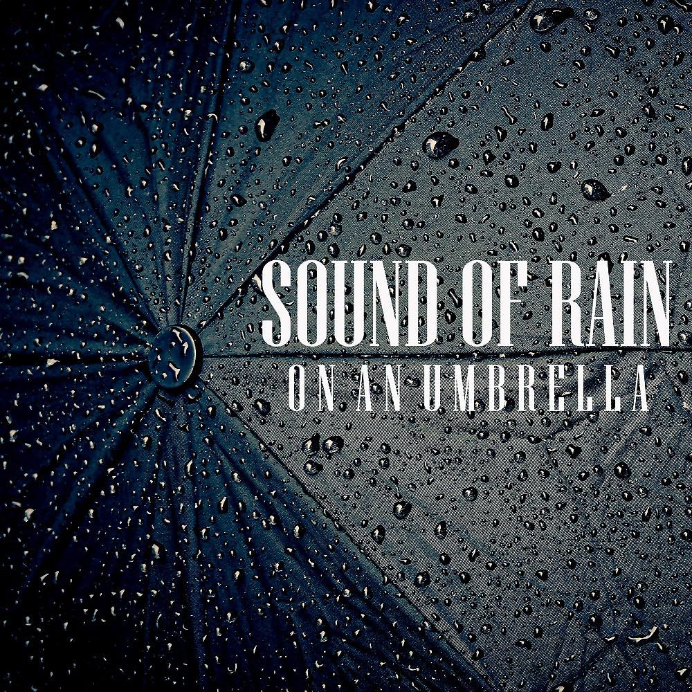 Постер альбома Gentle Raindrops on an Umbrella
