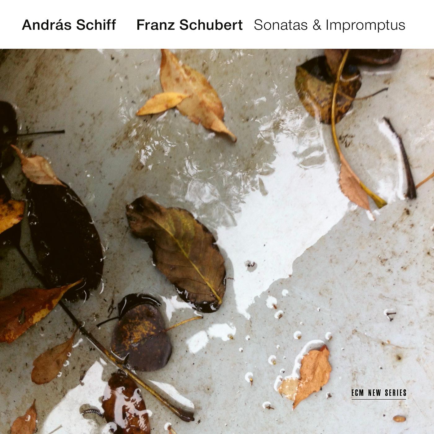 Andras Schiff - Schubert: Piano Sonata No. 19 in C Minor, D. 958 - 1. Allegro