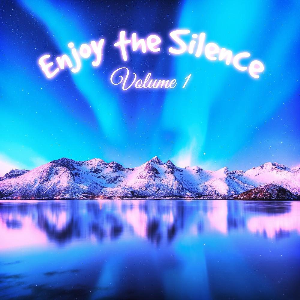 Постер альбома Enjoy the Silence, Vol. 1