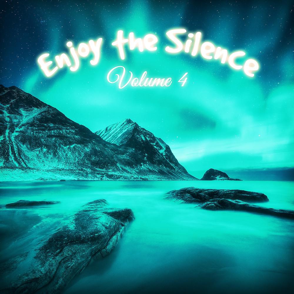 Постер альбома Enjoy the Silence, Vol. 4