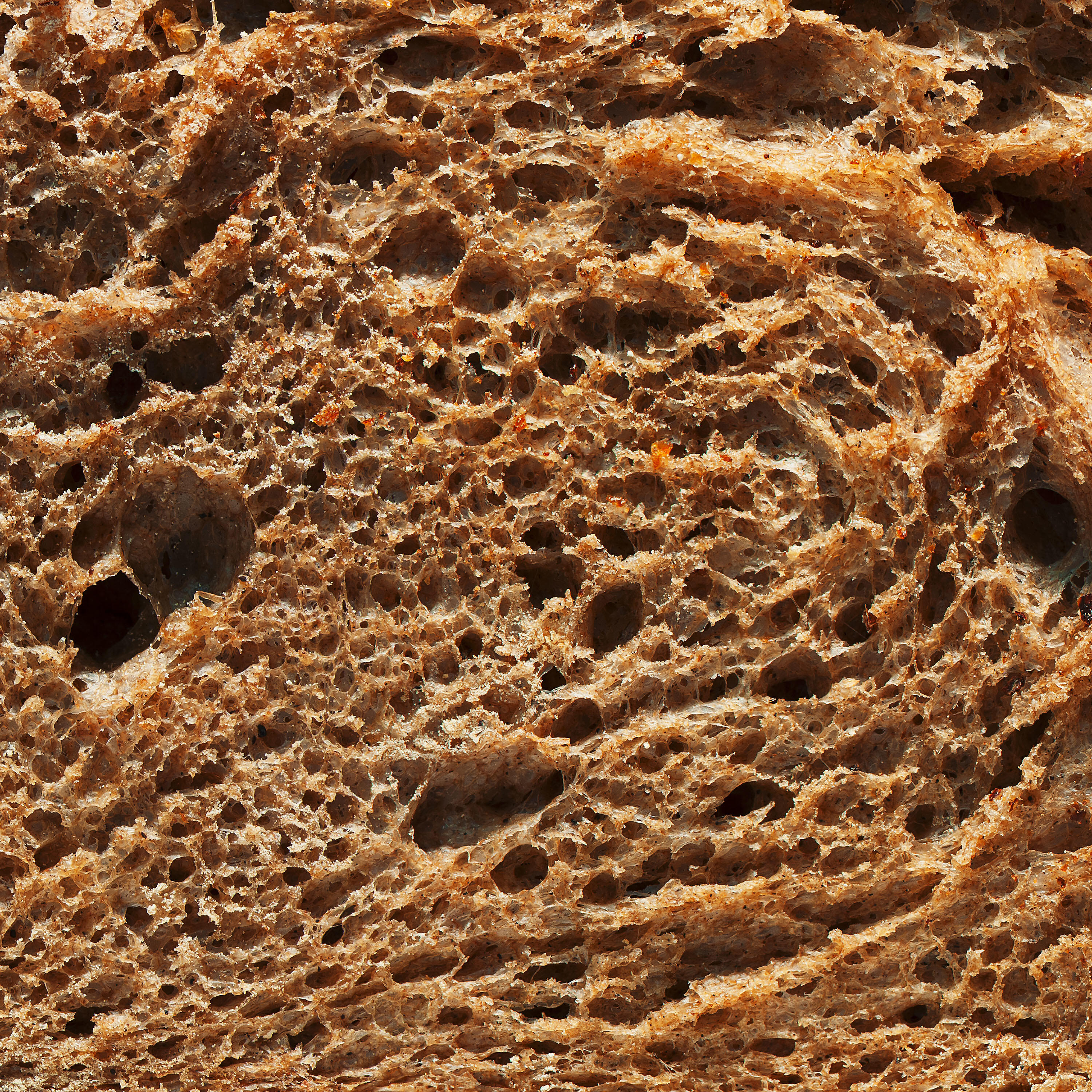 Orso - Jambon-Beurre
