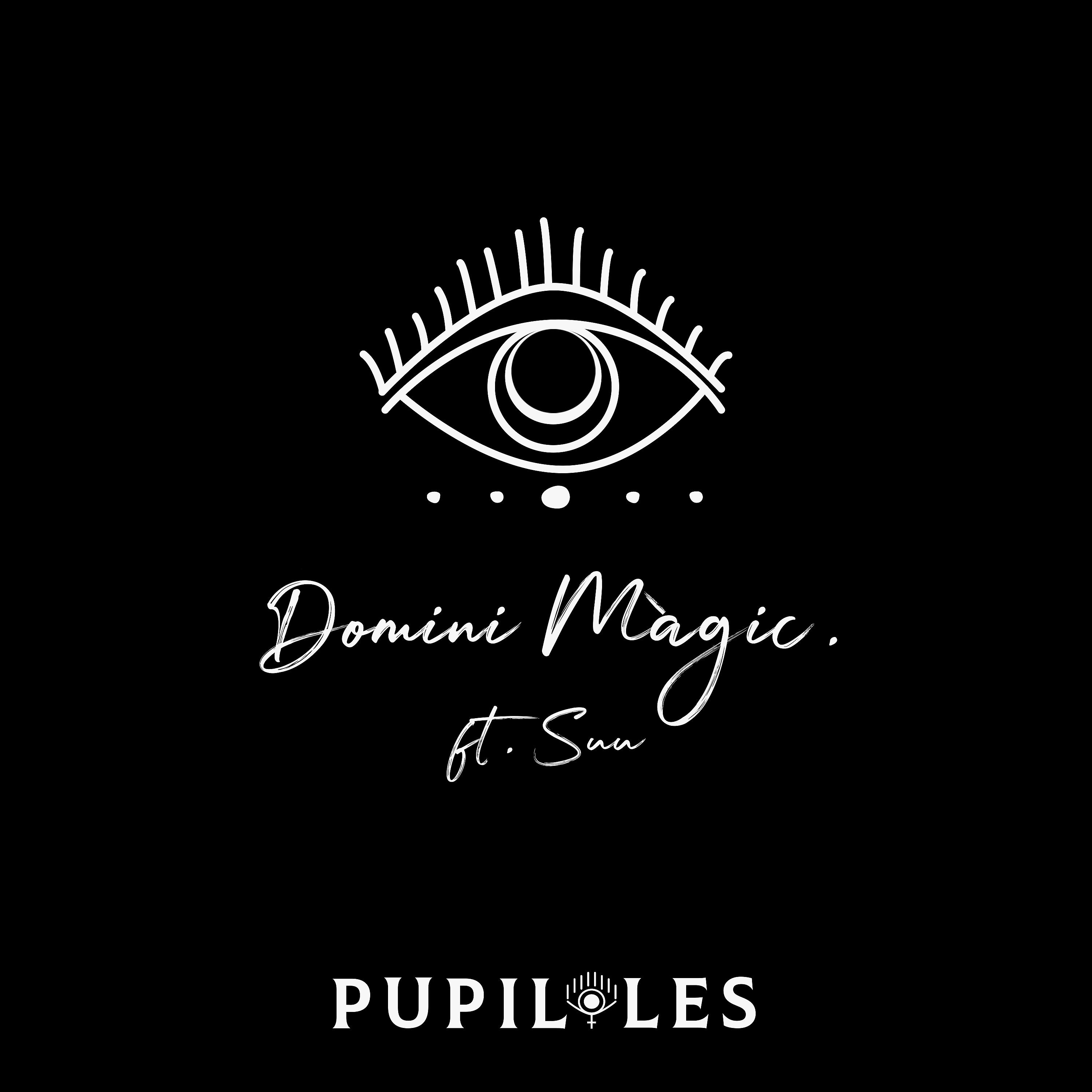 Постер альбома Domini Màgic