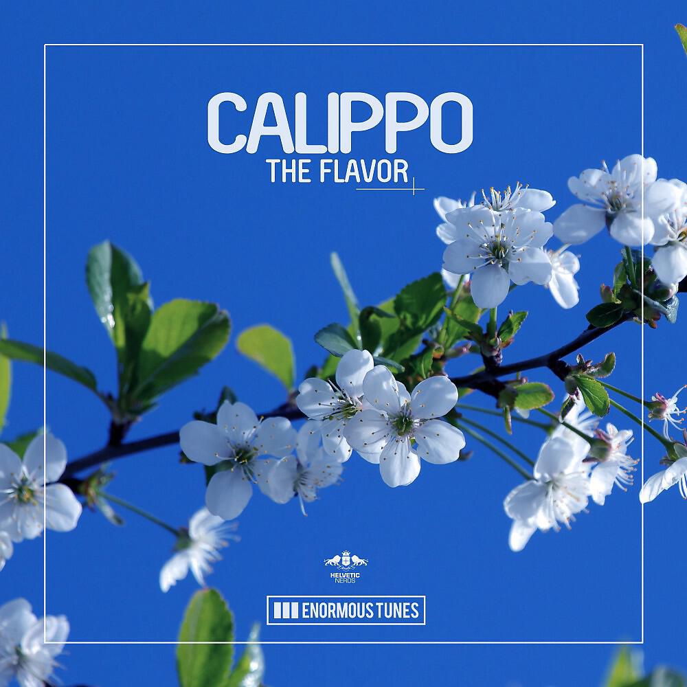 Calippo - The Flavor (Instrumental Mix)