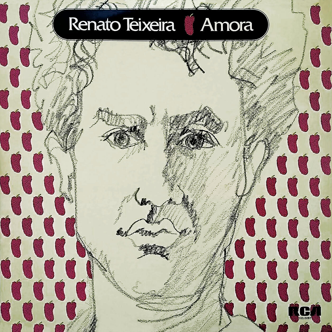 Renato Teixeira - Cavalo Bravo
