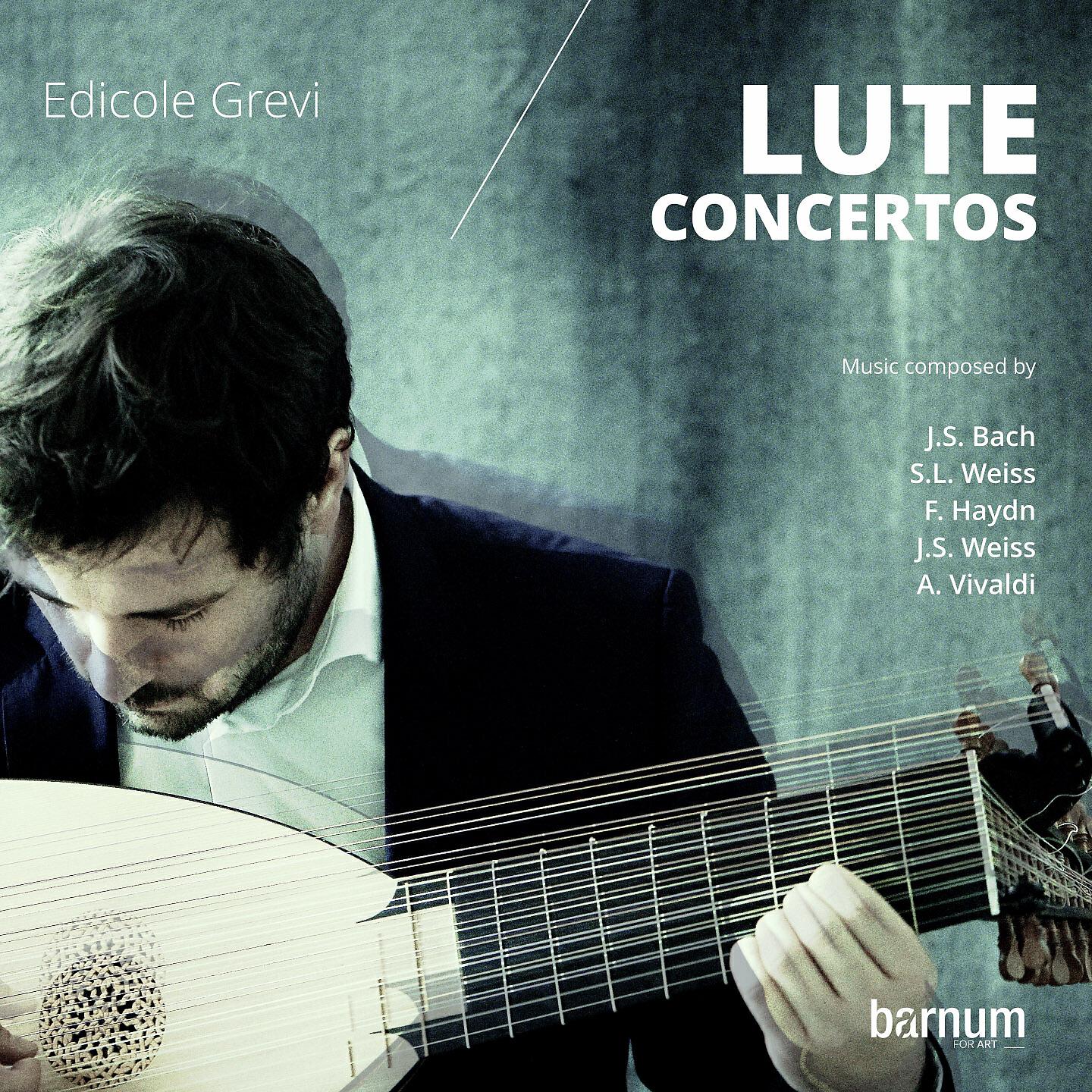 Edicole Grevi - String Quartet in C major, Hob. III: 6 in C Major: II. Menuet - Trio - Menuet