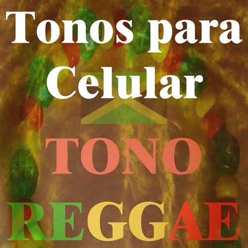 Постер альбома Tono Reggae