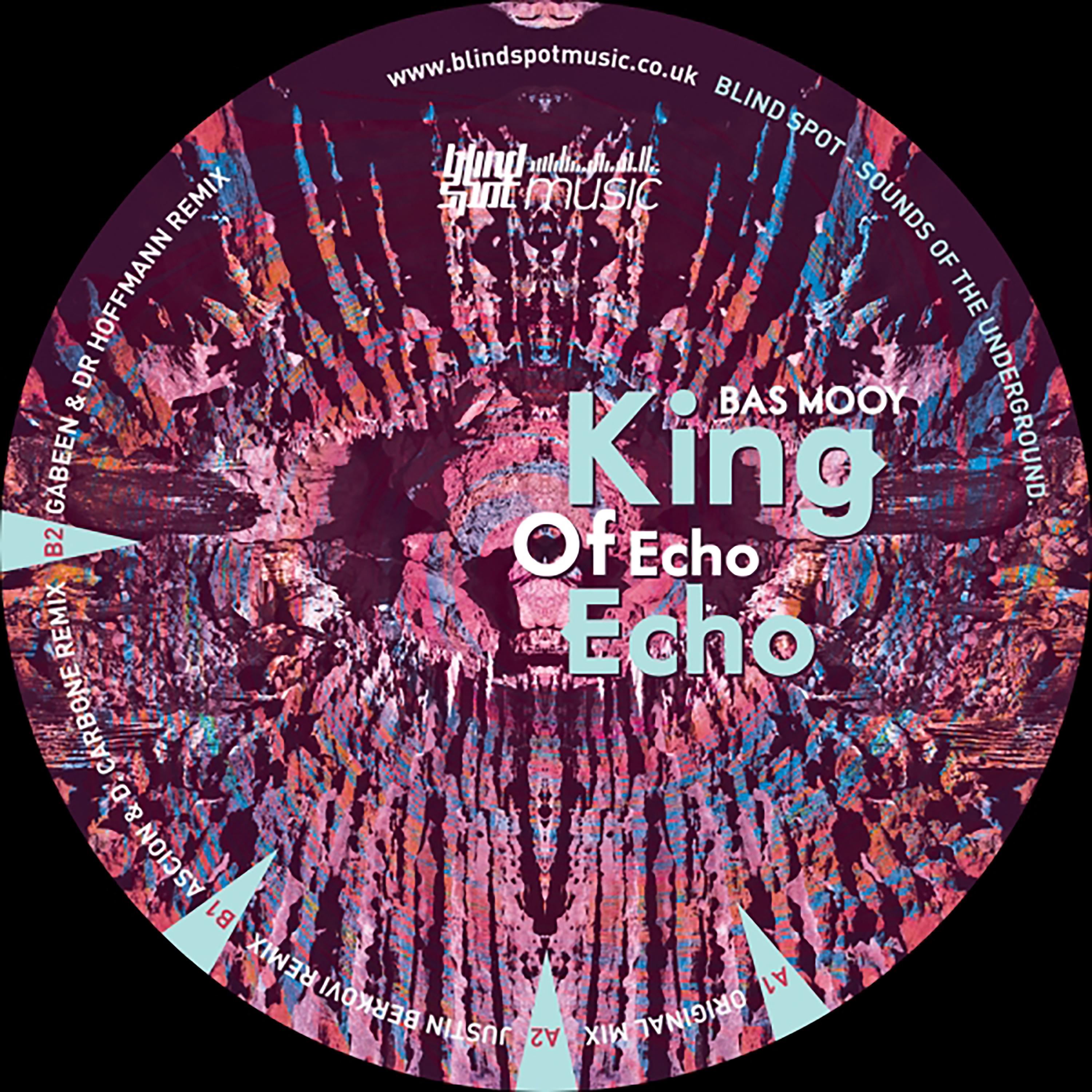 Постер альбома King of Echo Echo