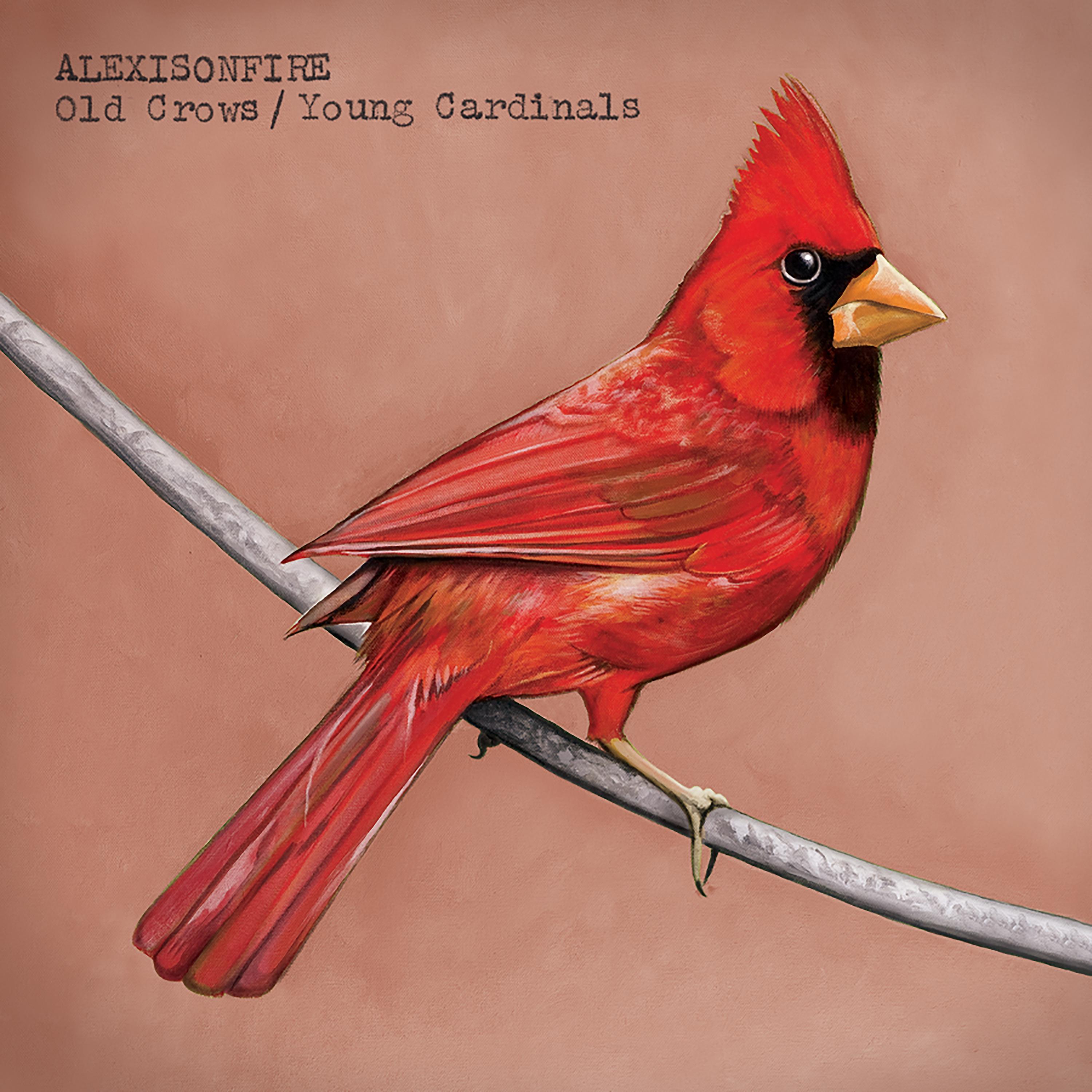 Постер альбома Old Crows / Young Cardinals