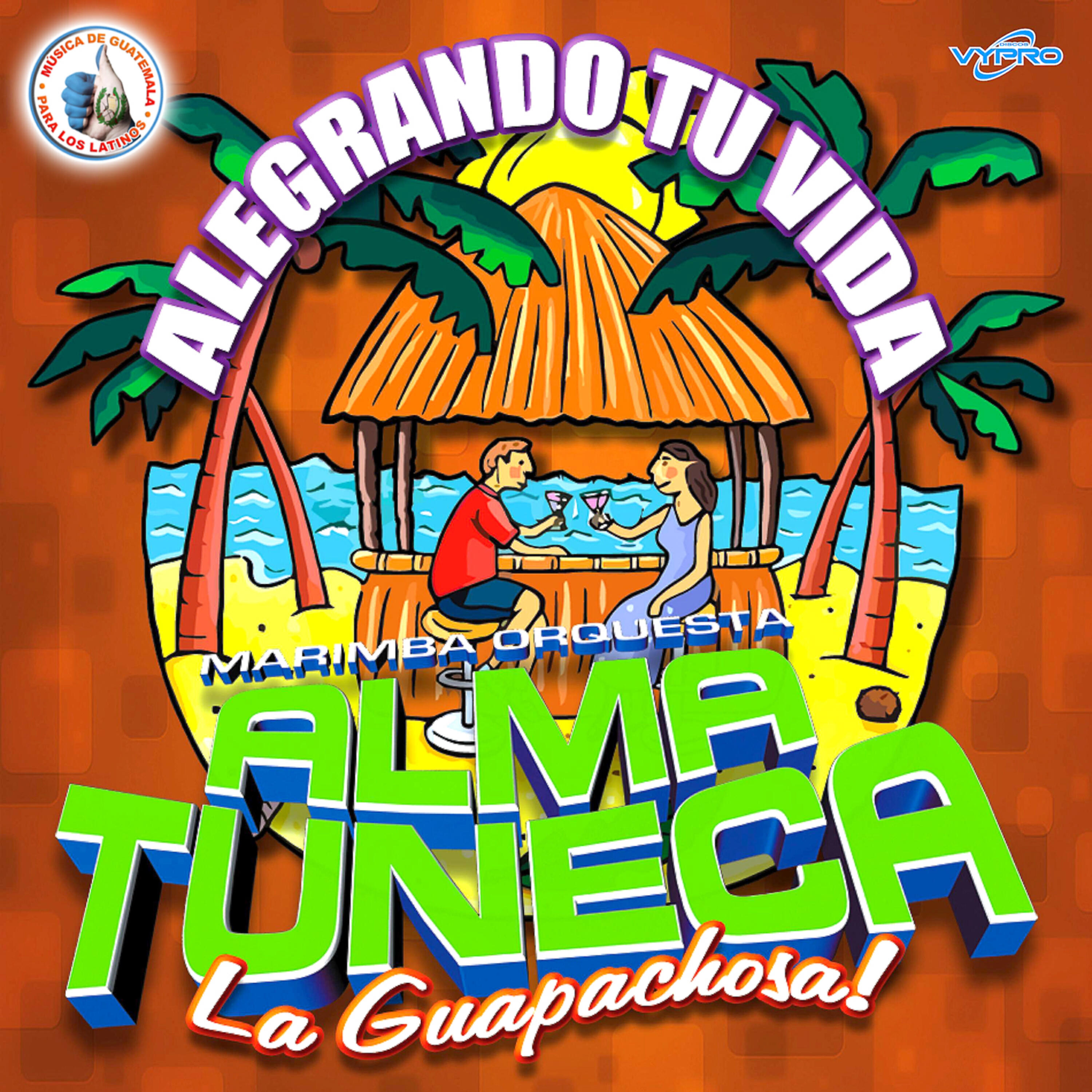 Marimba Orquesta Alma Tuneca - Alegres Santanecos