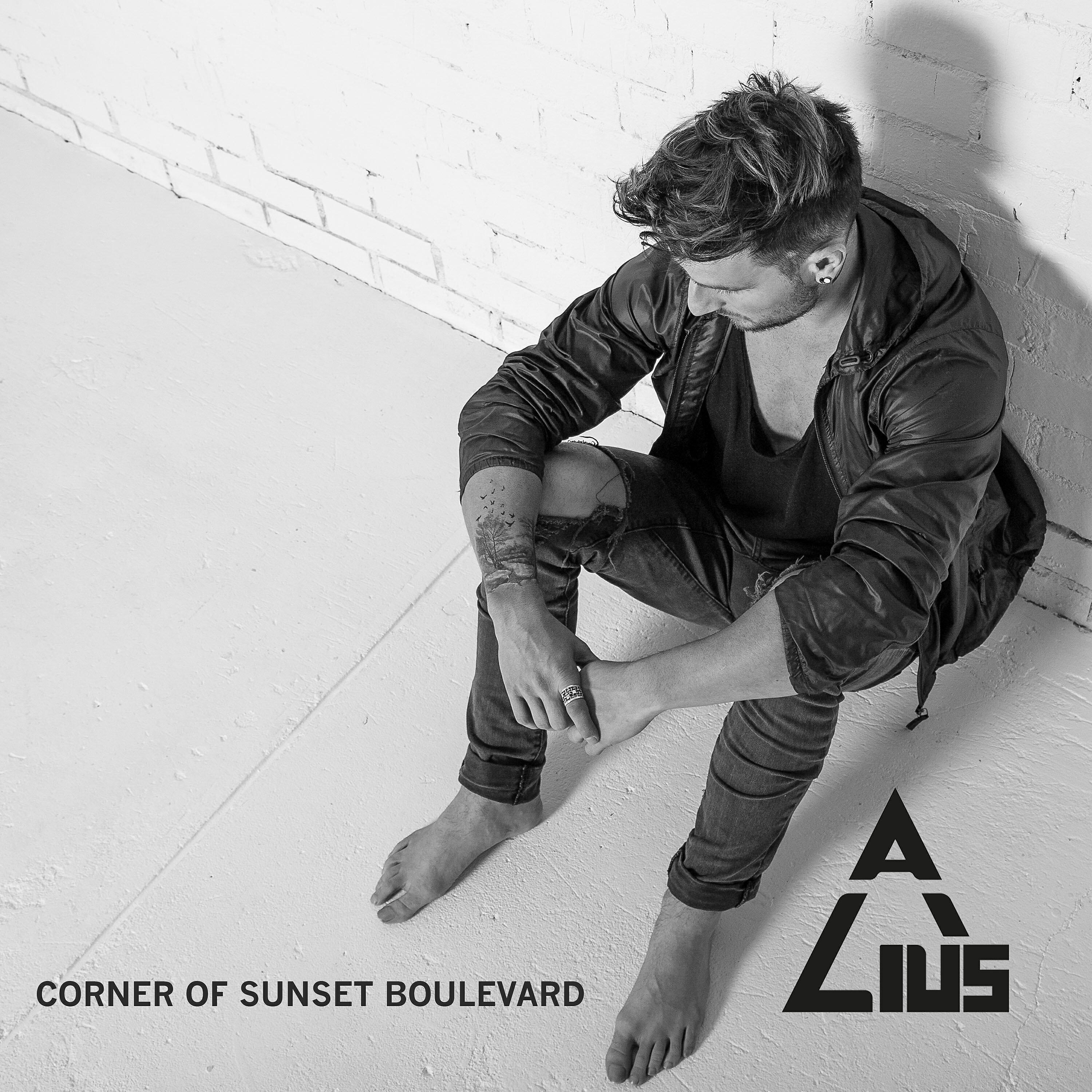 ALIUS - Corner of Sunset Boulevard (Wippy Lion Remix)