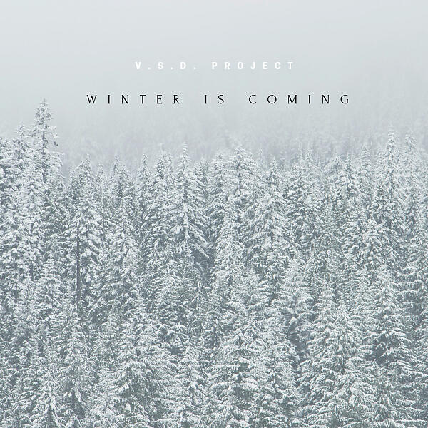 V.S.D. Project - Winter is Coming (Original Mix)