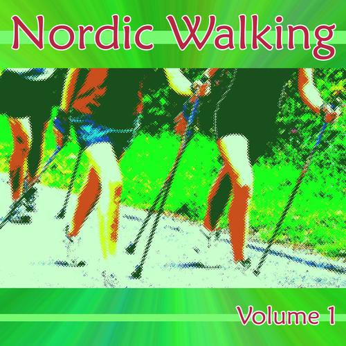 Постер альбома Music For Nordic Walking