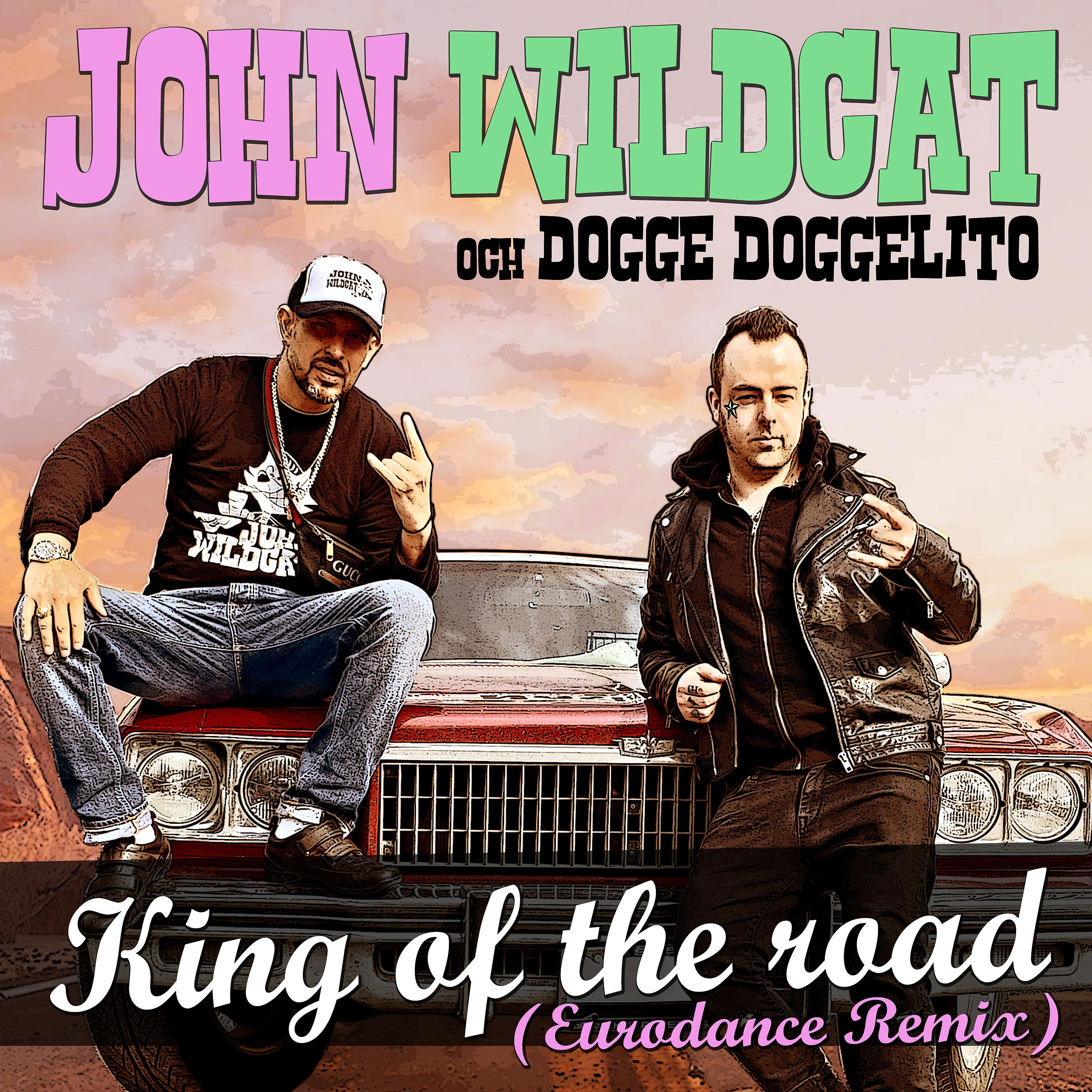 Постер альбома King of the Road (Eurodance remix)